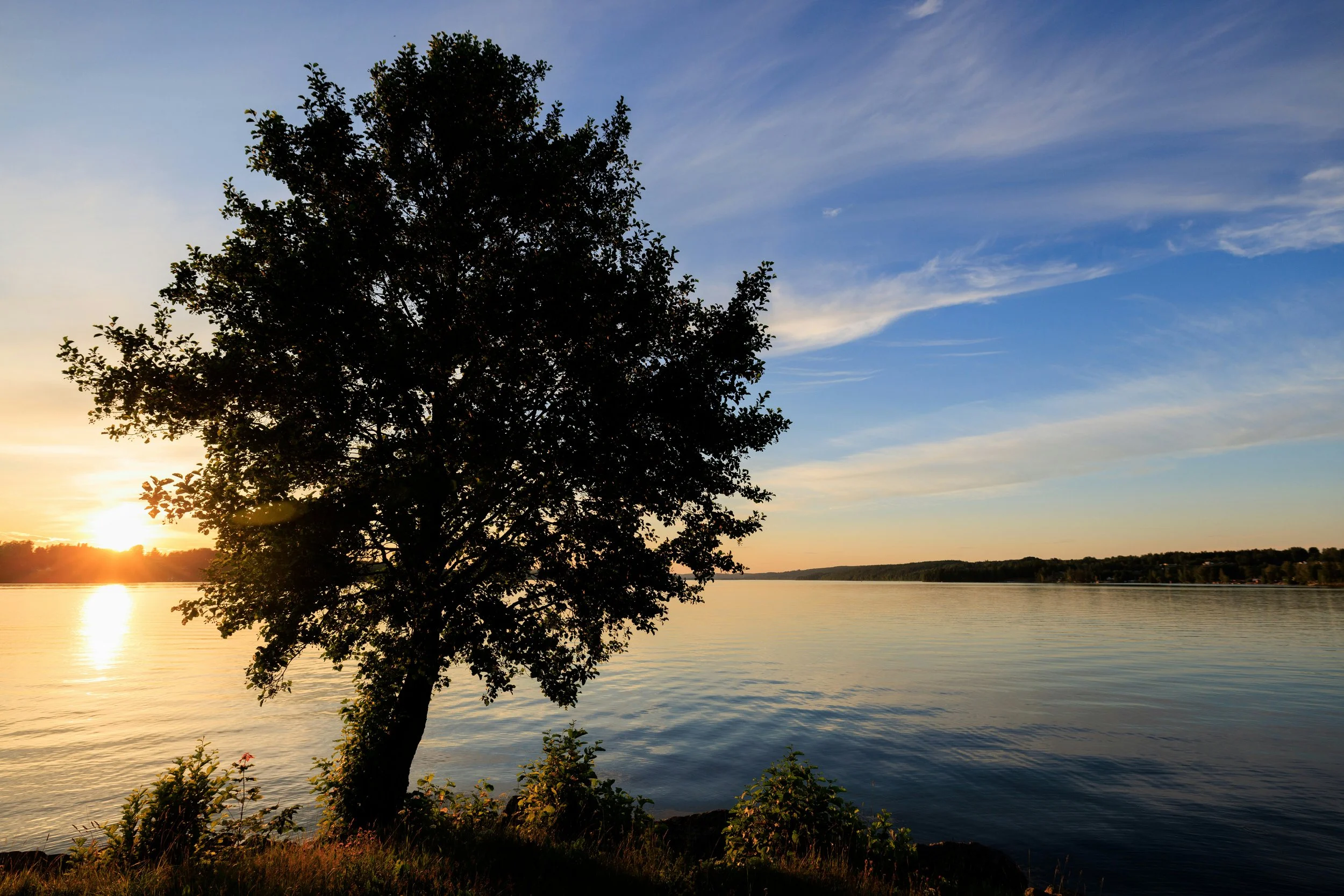 What Is Trauma Therapy, Really? (And Why It's Not About Reliving the Past)