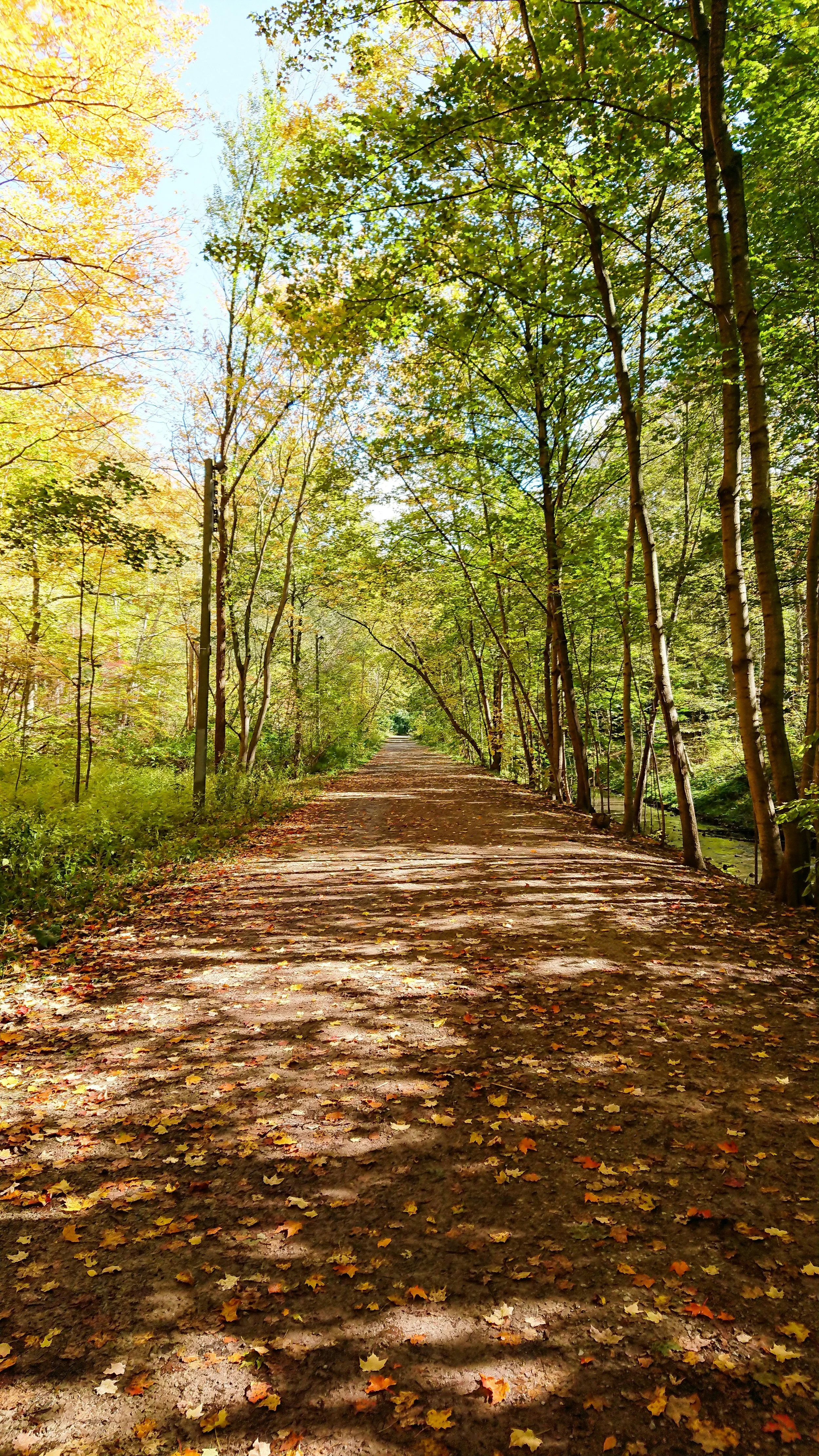 It's Not Just You: Overwhelm and the Impossible Standards We Carry