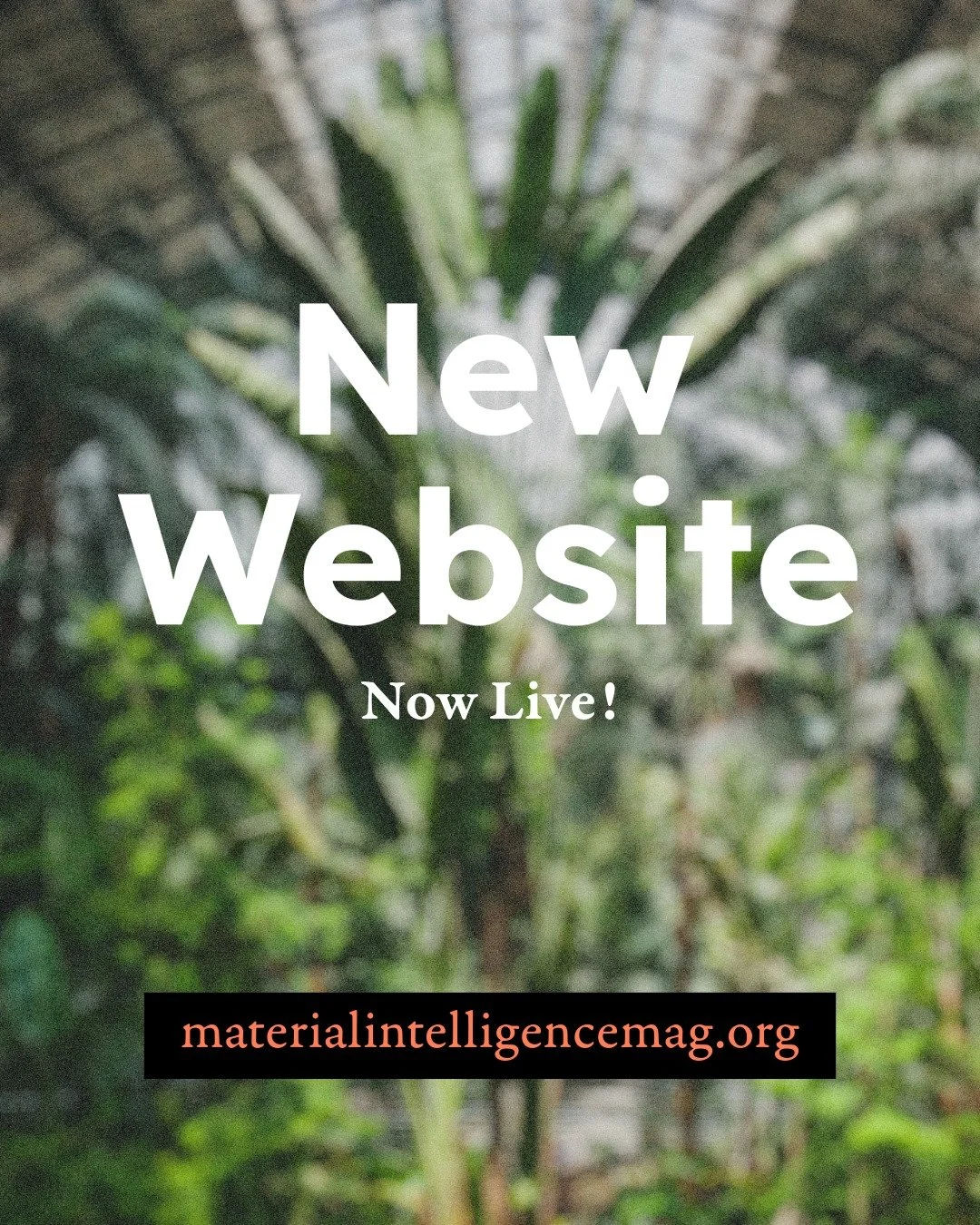 We are thrilled to announce the launch of a new Material Intelligence website along with the first featured material of 2026, Palm. We hope you&rsquo;ll enjoy revisiting all the content from our material archive. This new user-friendly format makes i
