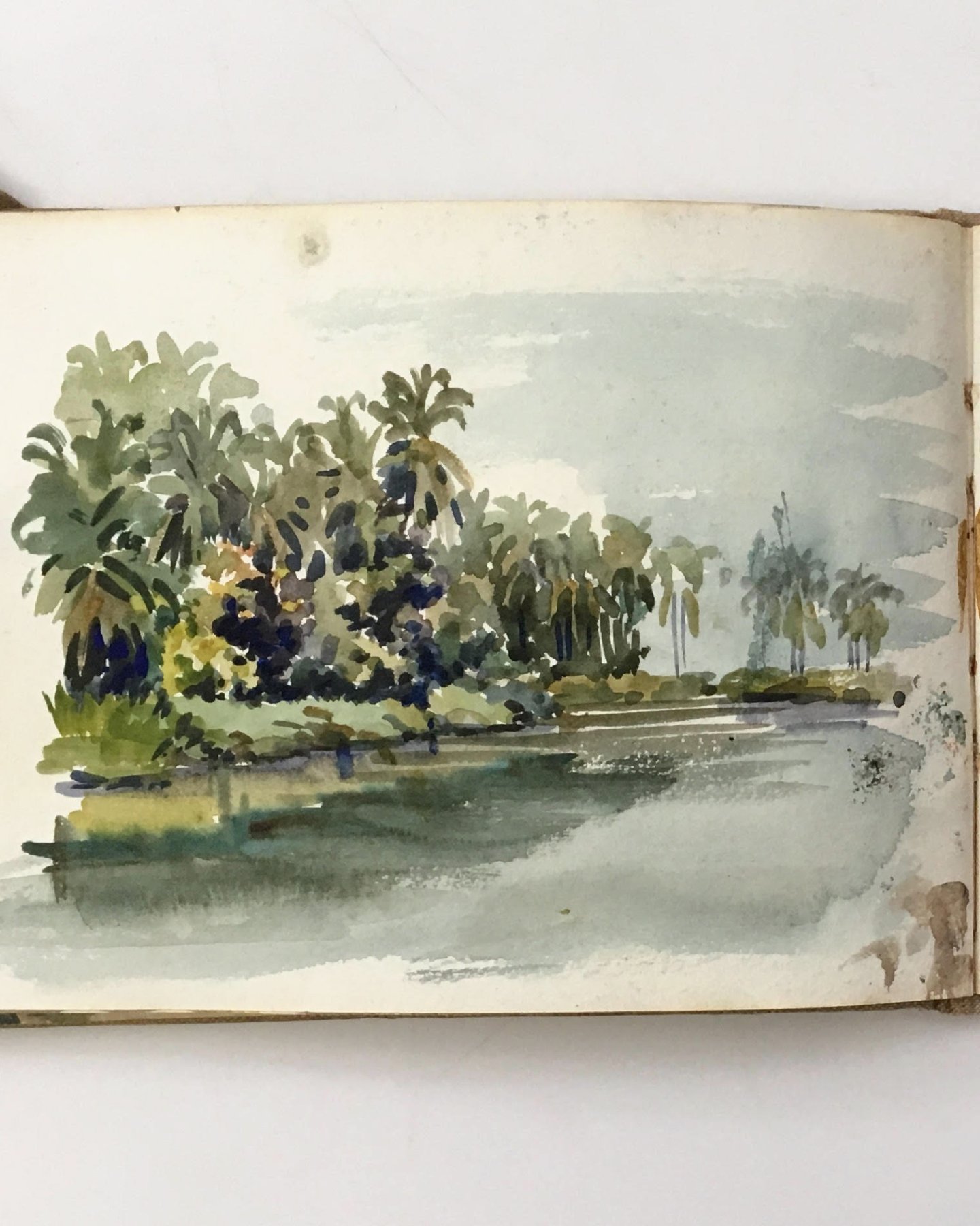 &ldquo;Taken together, these uses suggest that palms in Central Africa far exceed the status of &ldquo;tropical icons.&rdquo; They are foundational, multi-purpose plant resources that surpass any single category or label. From a single family of spec