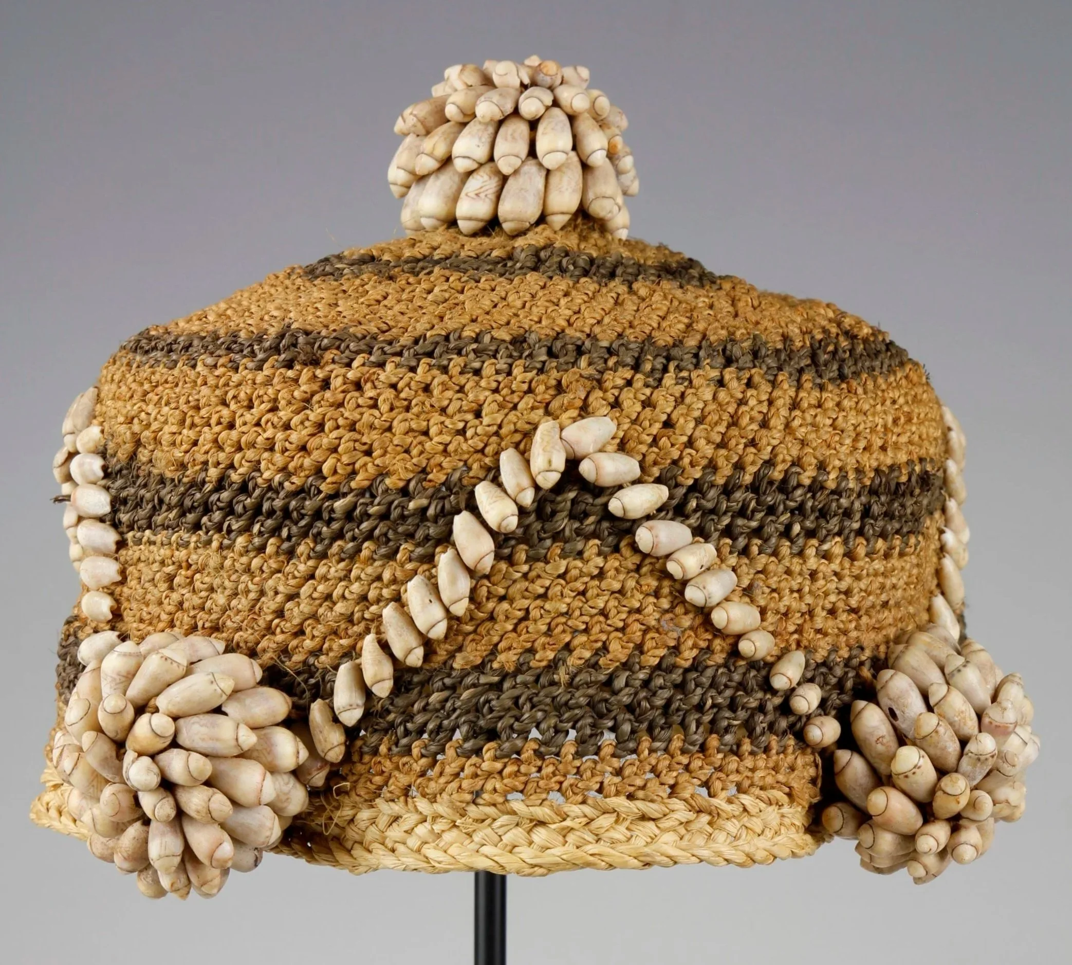 Nzimbu, an African shell
