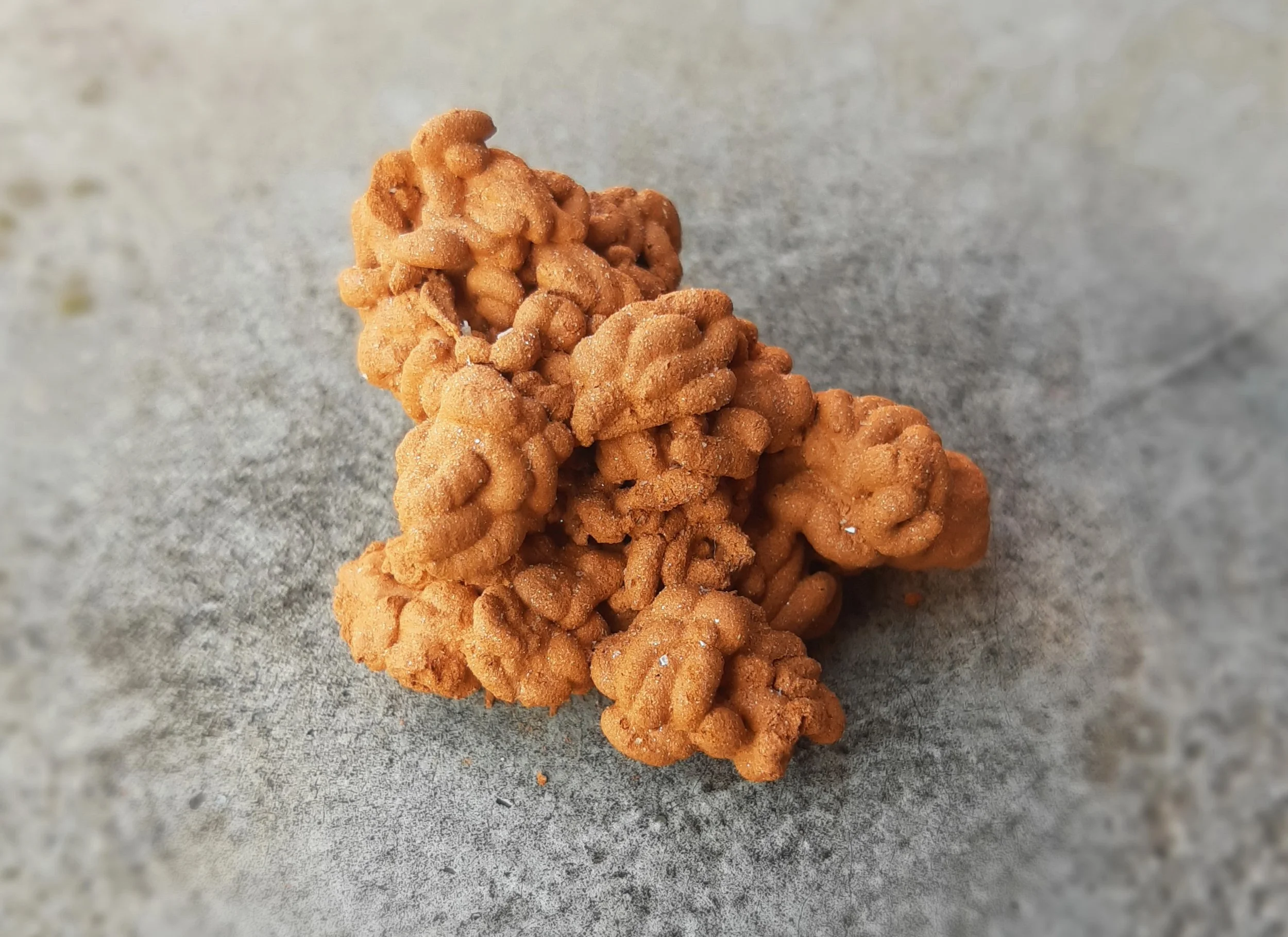 In touch with the land