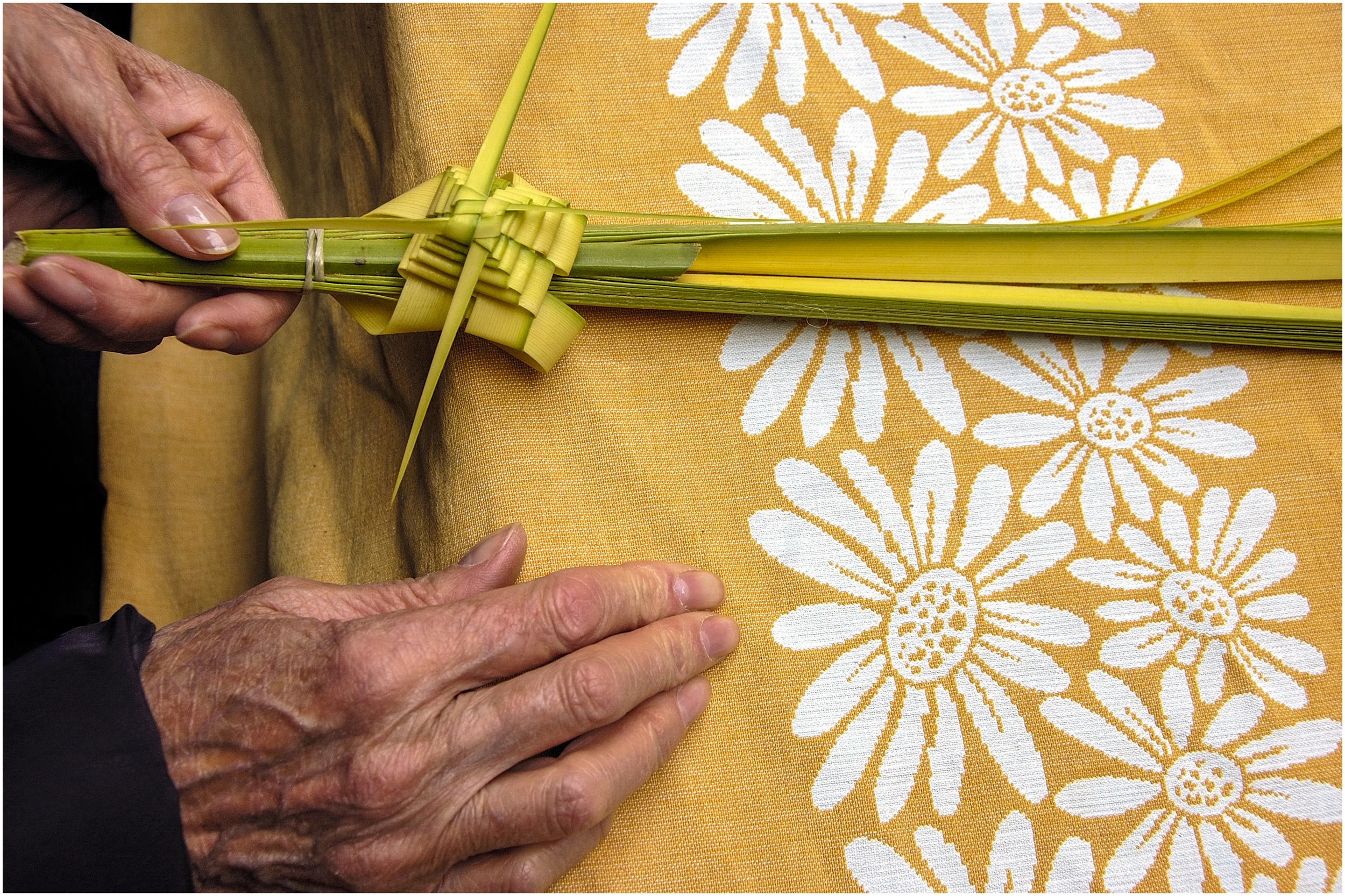 Tree of life, tree of faith