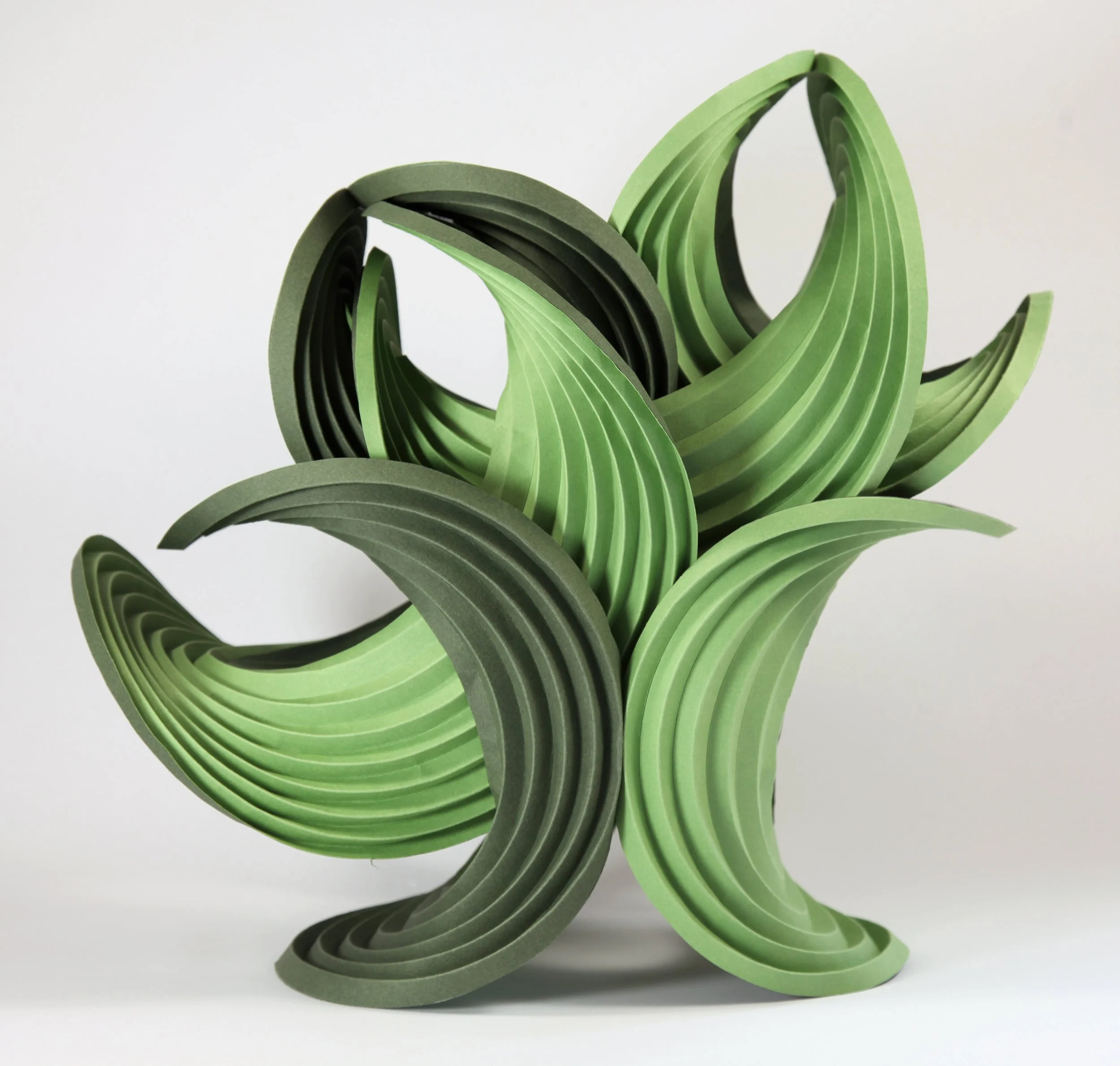 The materiality of math