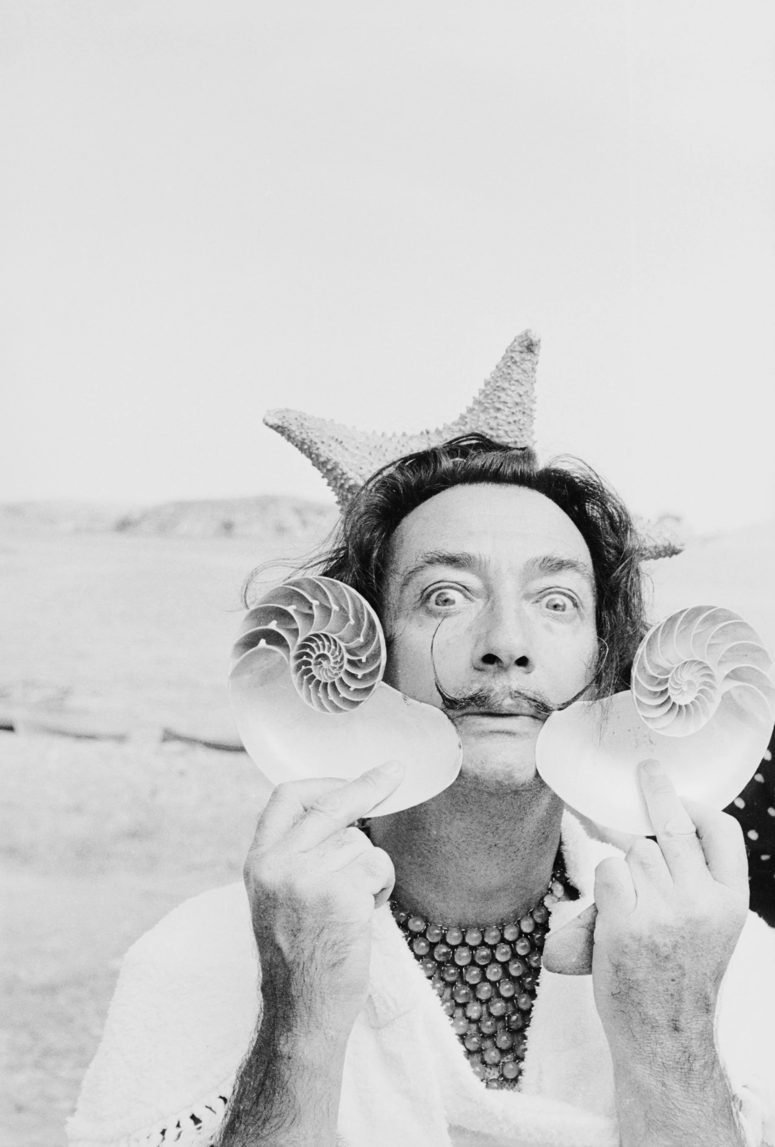 Conchophilia: On shells and surrealism