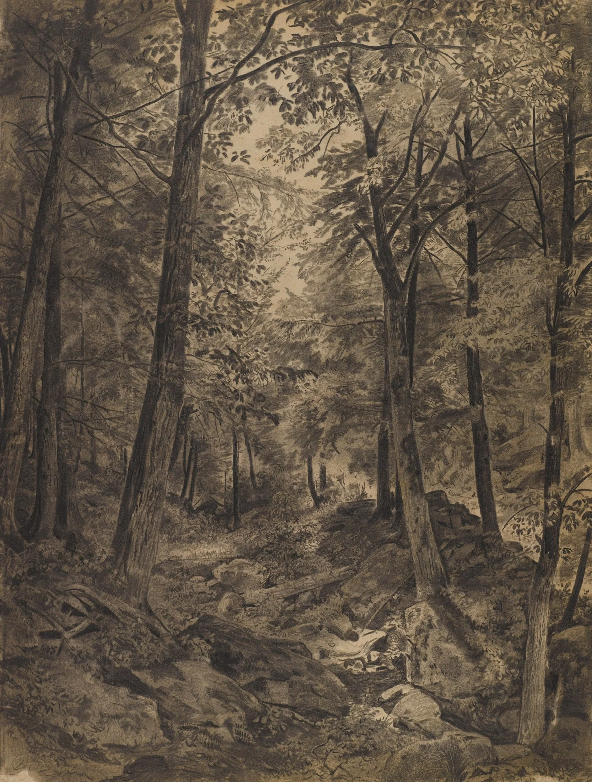 The ecological medium