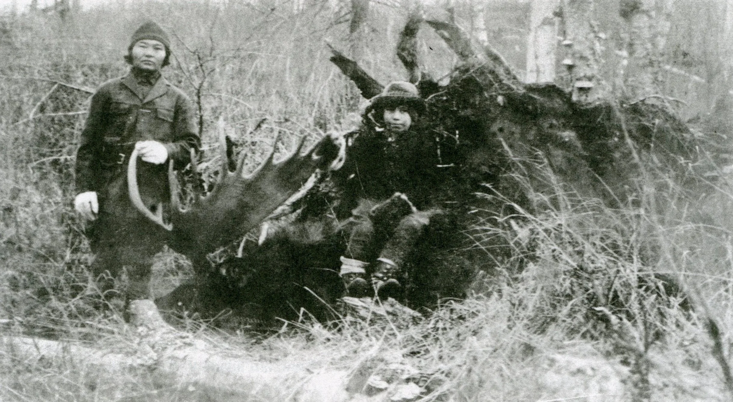 In front of the hide