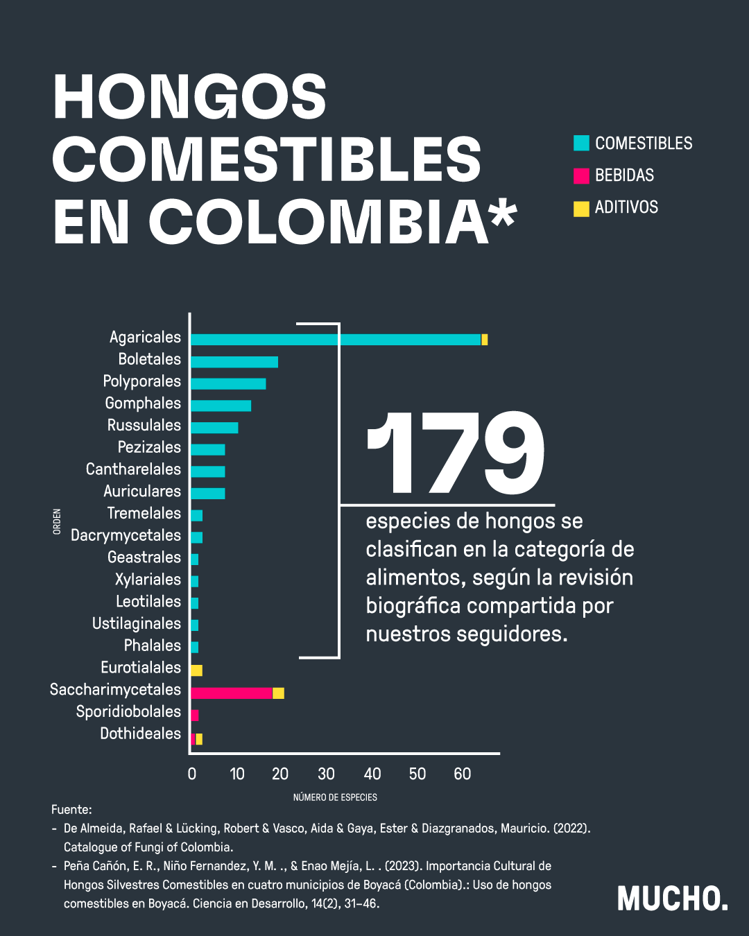 Copywriting, research and design for this design