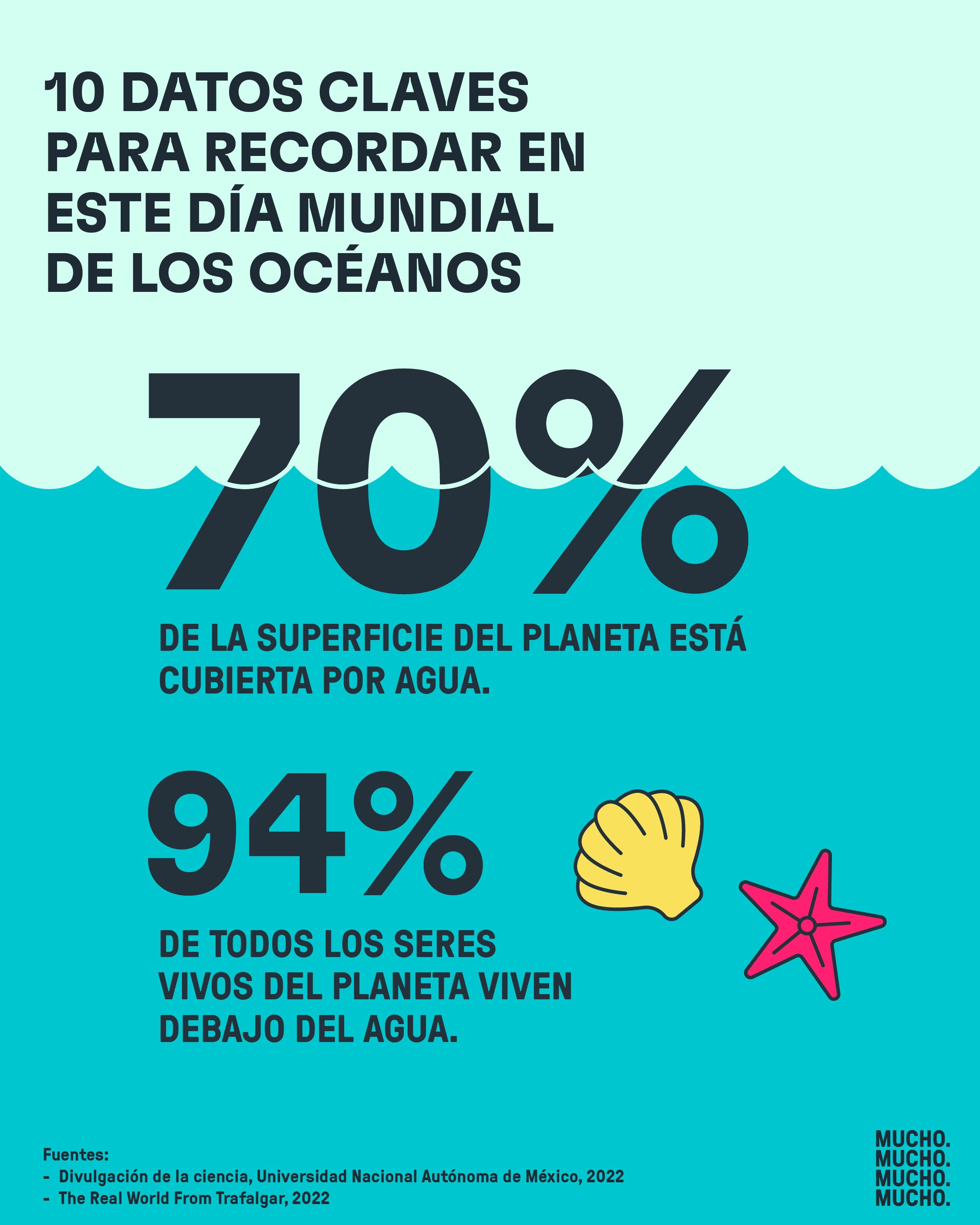 Copywriting, research and design for this design