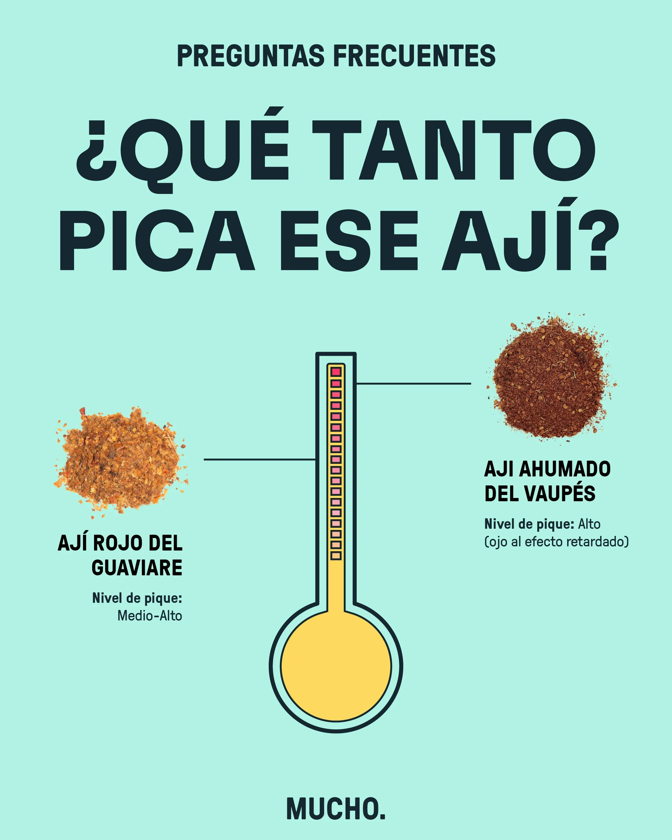 Copywriting, research and design for this design