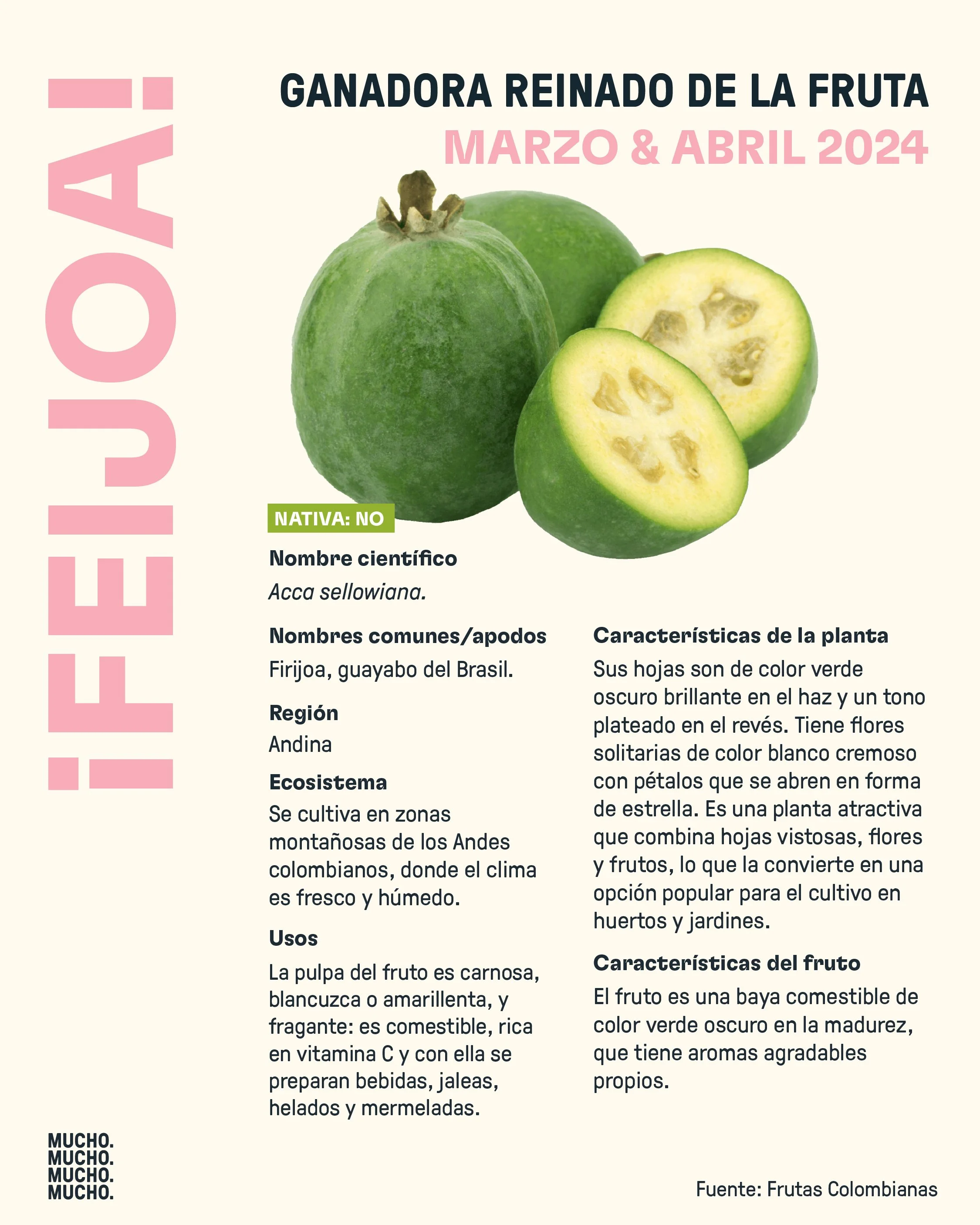 Copywriting, research and design for this design