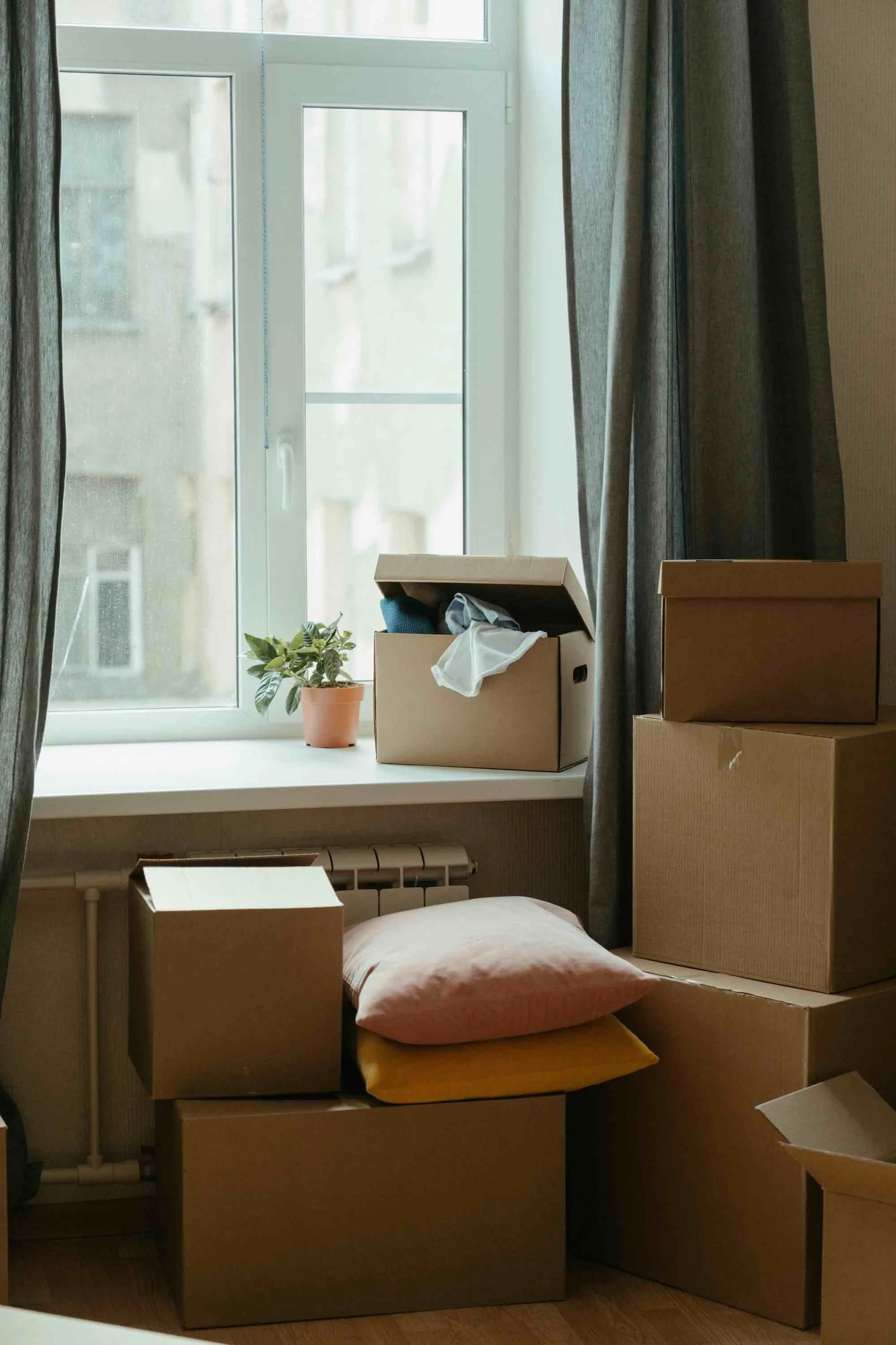 A window with curtains, cardboard boxes stacked on a small table, and a windowsill with a potted plant and a box filled with clothes.