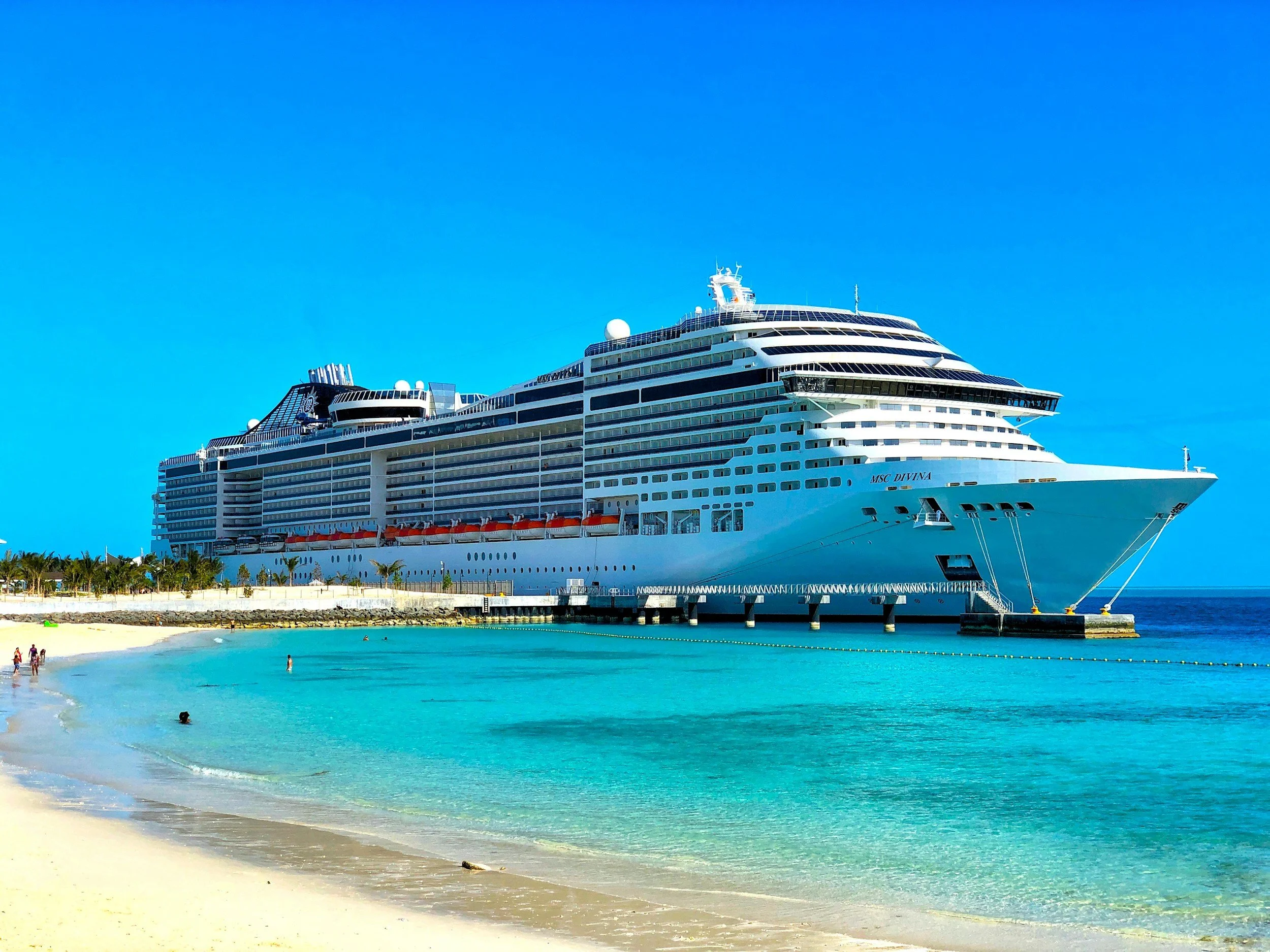 A large white cruise ship labeled MSC Divina docked at a tropical beach with clear turquoise water, white sand, and a row of palm trees under a bright blue sky.