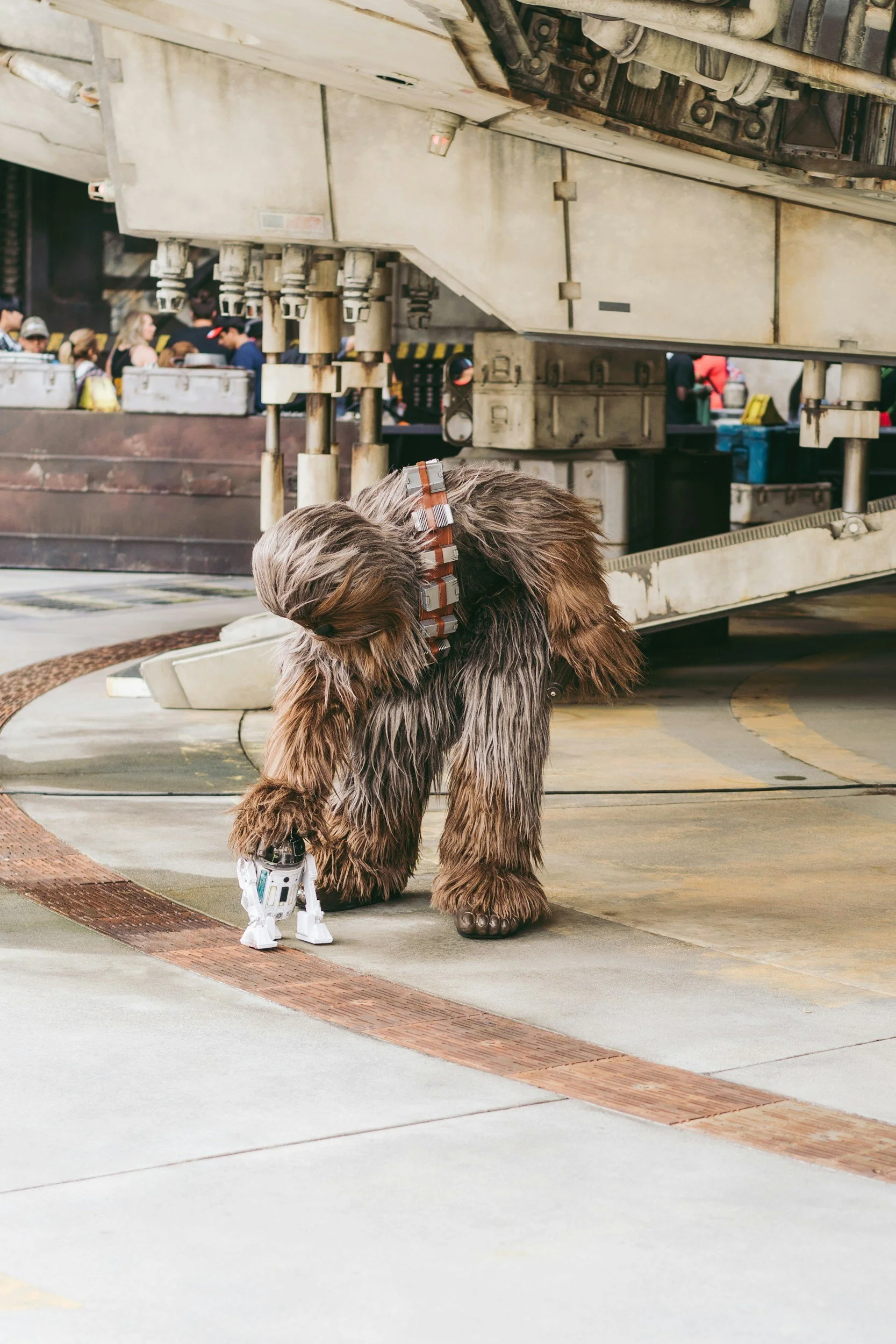 A person dressed as Chewbacca from Star Wars is in a high-tech indoor setting, bending down next to a small droid robot.