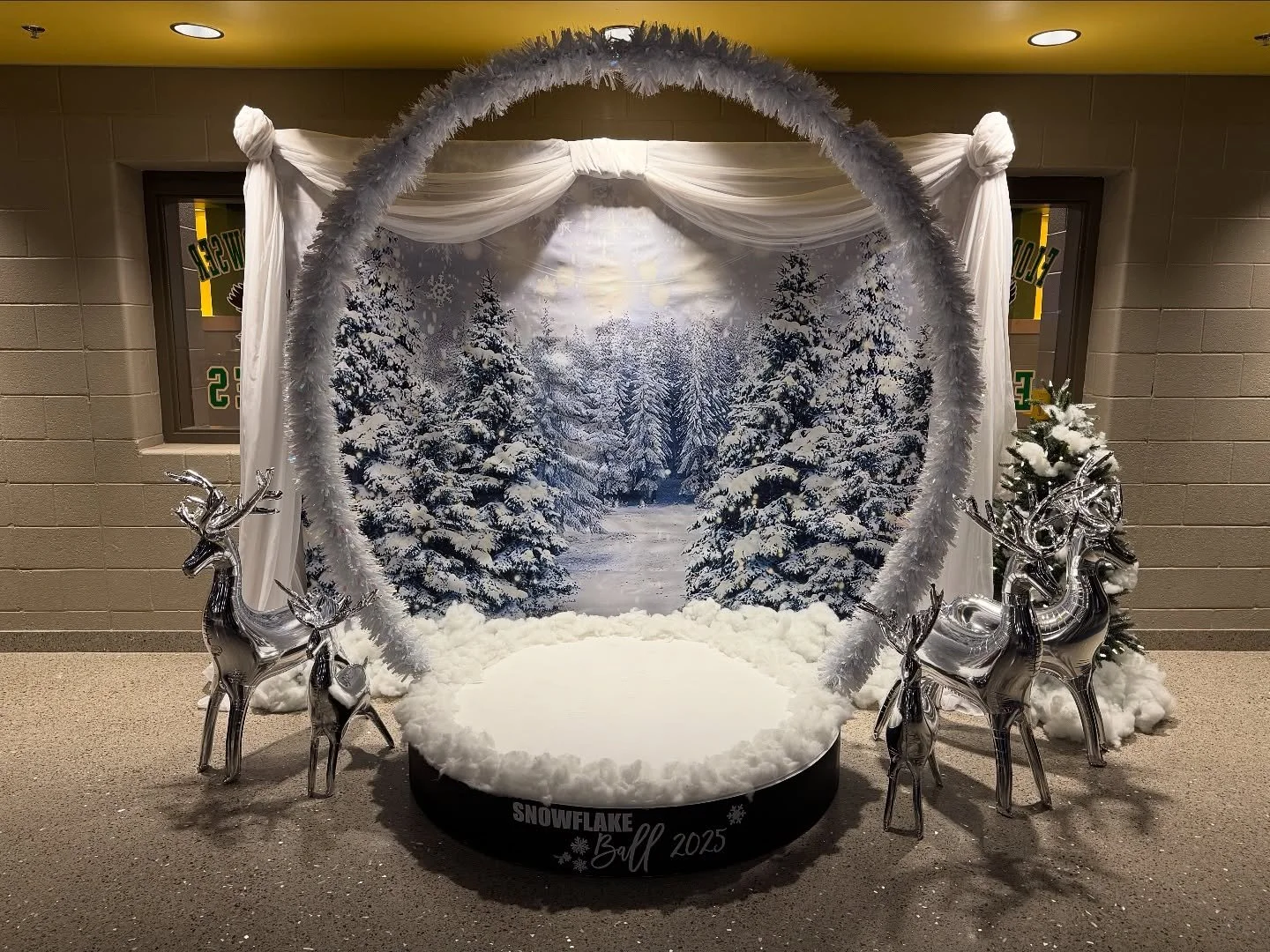 Custom Backdrops