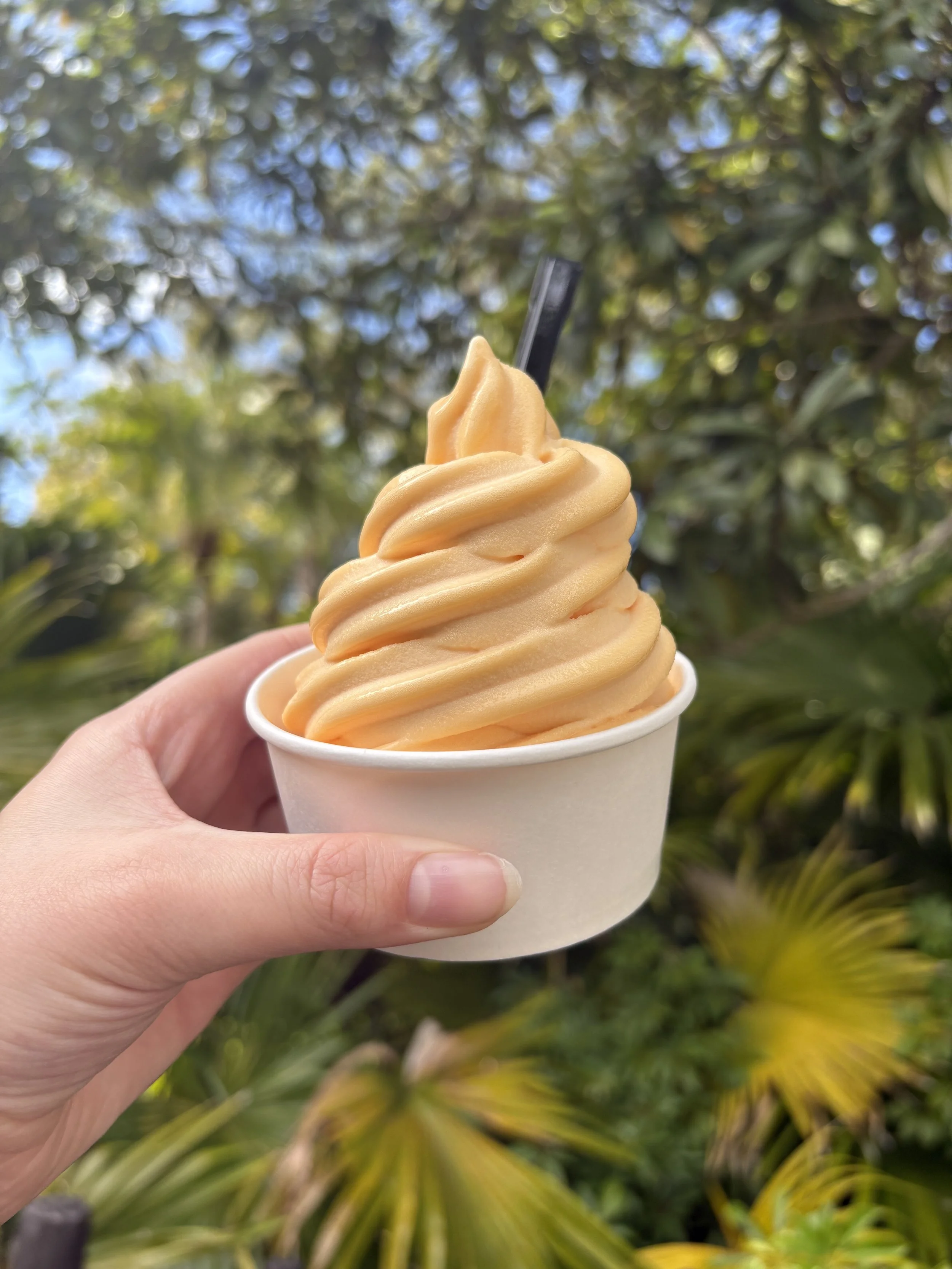 family of four plan for 3-day disney world trip all four parks