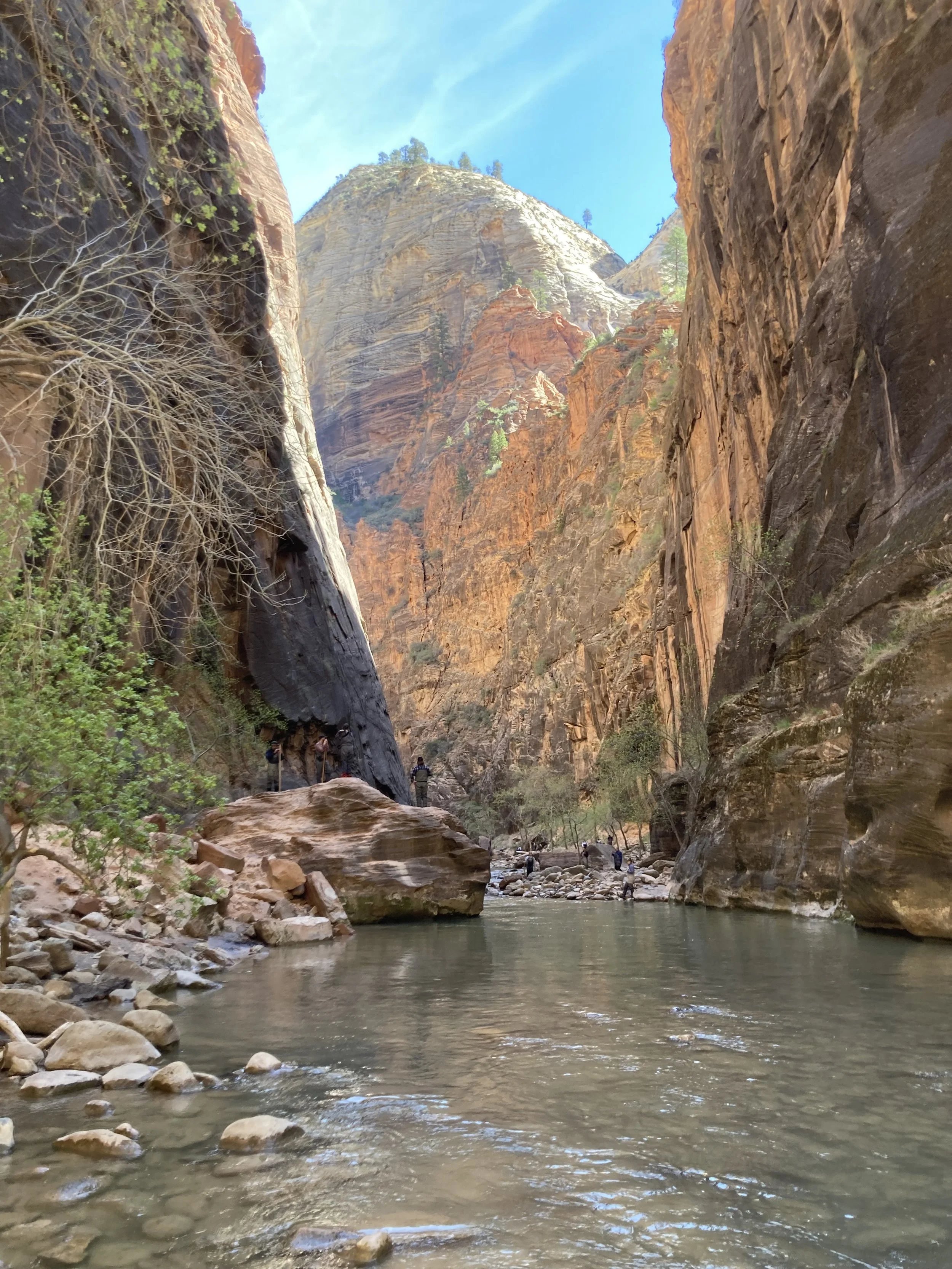 Hiking The Narrows At Zion National Park With Kids In The Spring