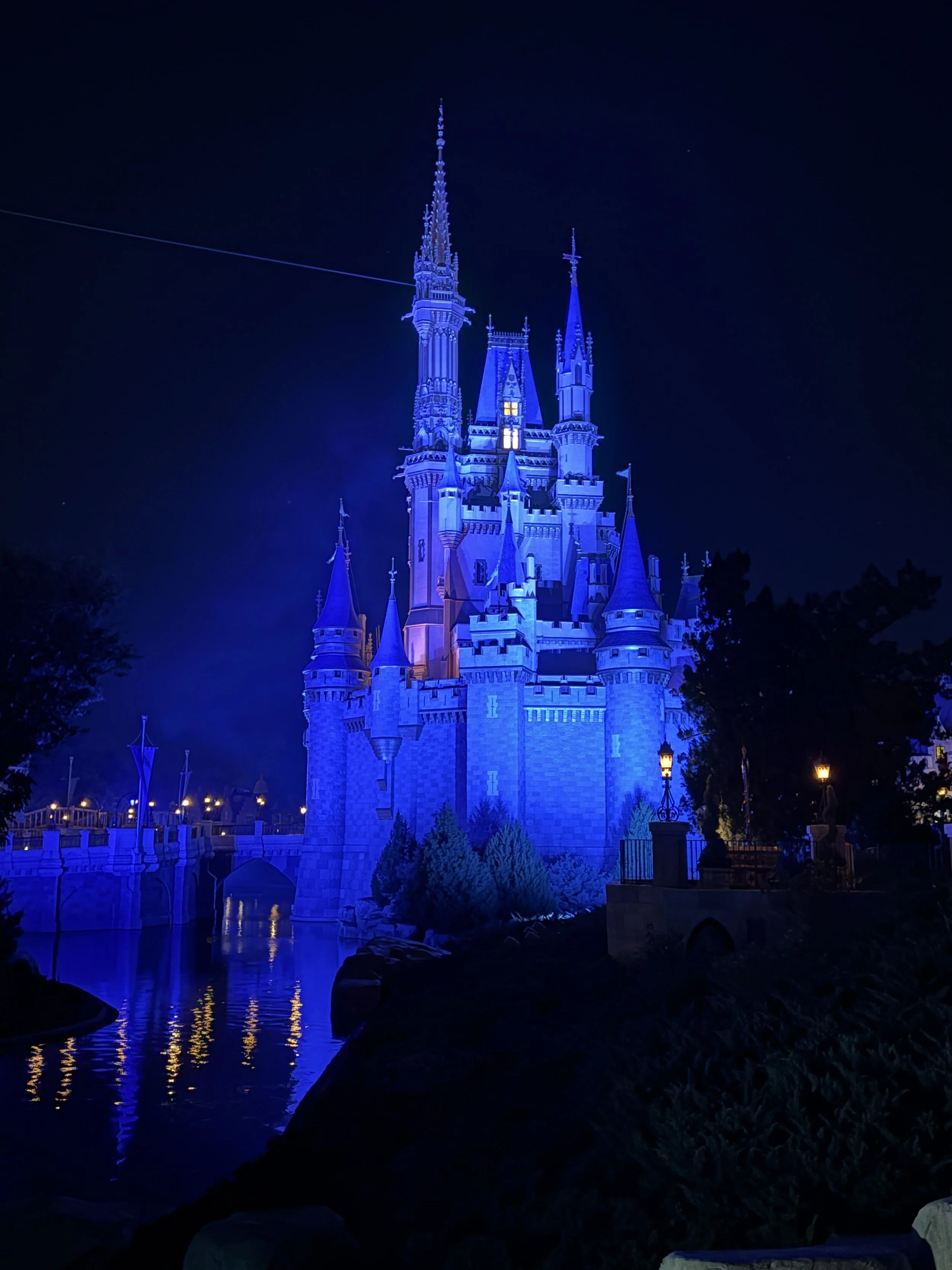 Disney World Magic Kingdom Castle 3 Day Family Itinerary