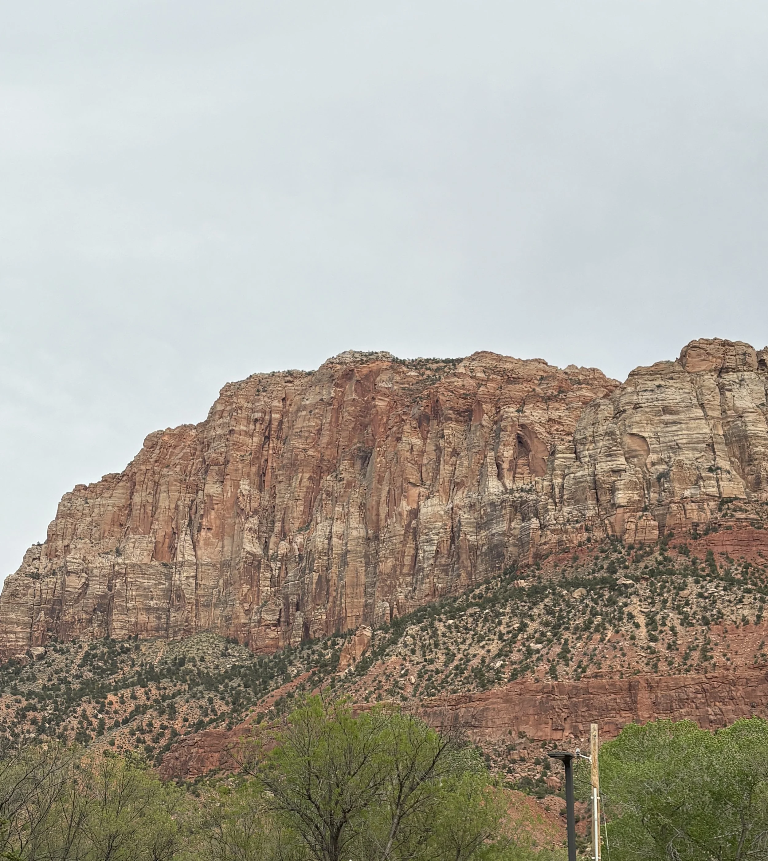 Review Springhill Suites Marriott Springdale Zion NAtional Park Where to stay