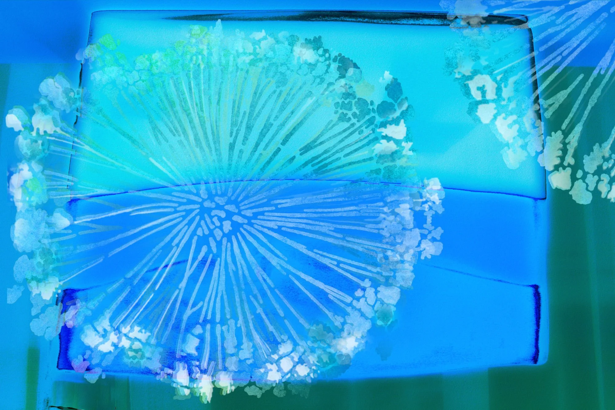 02-Allium-Glass light Box .jpg