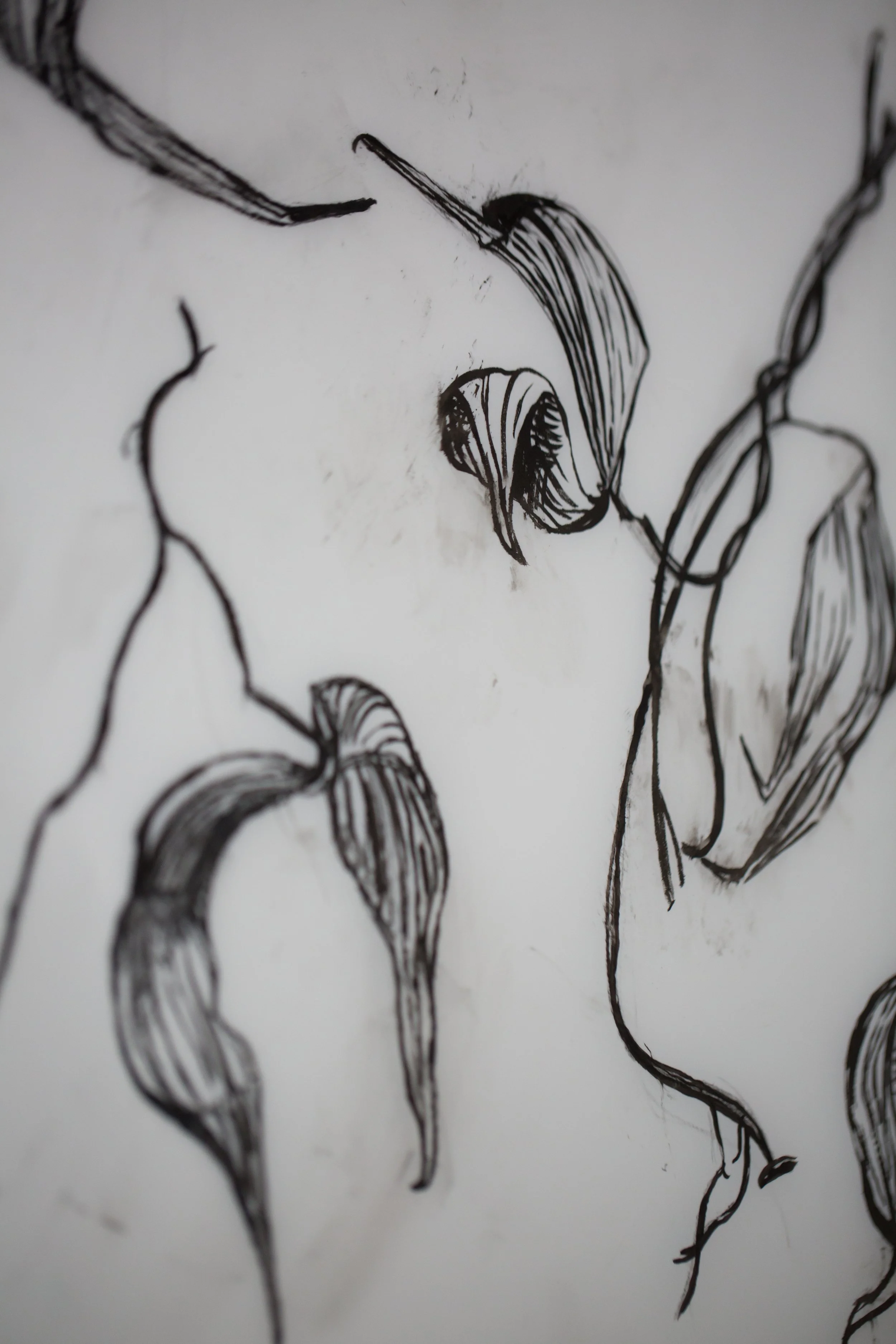 New pen and ink drawing on Yopo paper 14”x17” (5).JPG