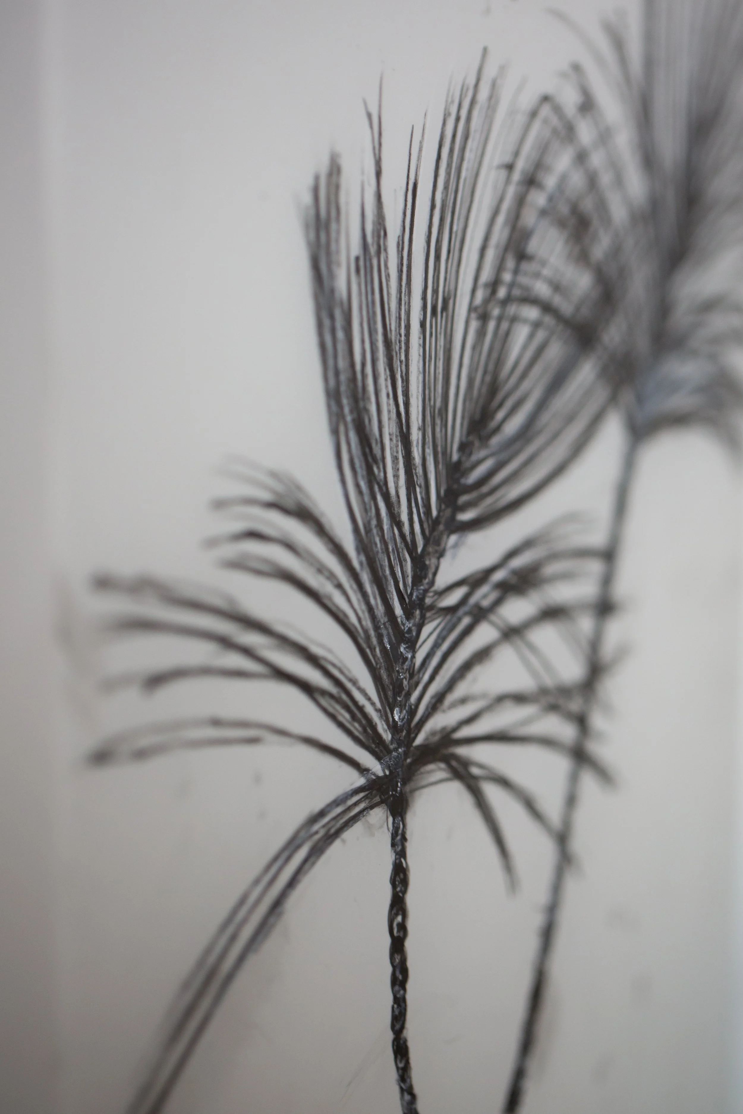 New pen and ink drawing on Yopo paper 14”x17” (1).JPG