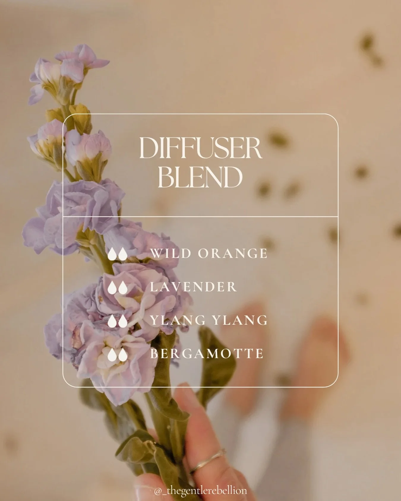 Frohe Ostern 🌷

🧡Wild Orange &ndash; bringt Frische &amp; gute Laune
💜Lavendel &ndash; entspannt und beruhigt
🩵Ylang Ylang &ndash; sorgt f&uuml;r Harmonie
💛Bergamotte &ndash; hebt die Stimmung

Eine sanfte Diffuser-Mischung mit einem blumig-fris