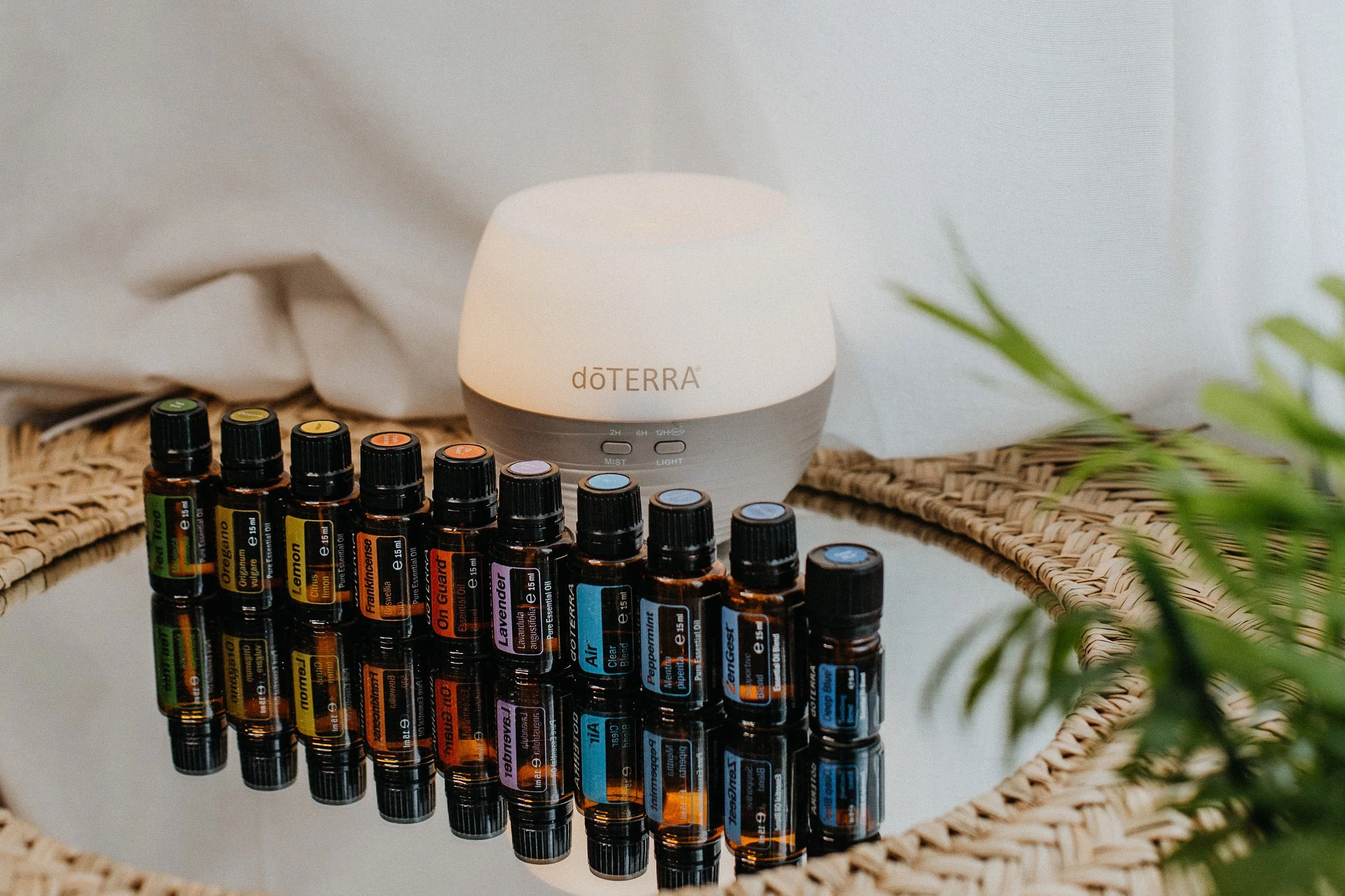 Ätherische Öle in braunen Flaschen stehen auf einem Spiegel auf einem Wicker-Tisch, im Hintergrund ein Aromatherapie-Diffusor, links und rechts grüne Pflanzen