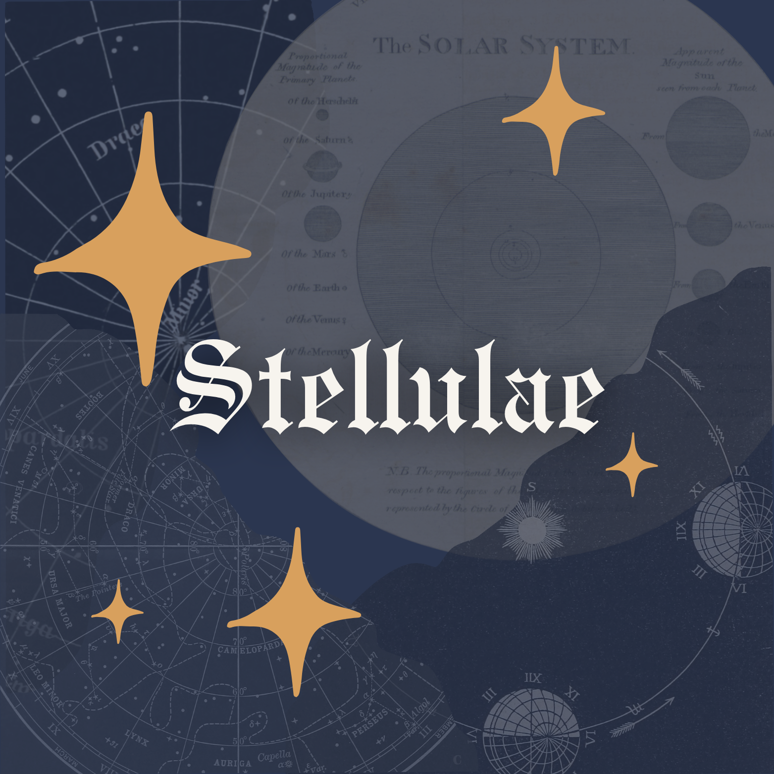 Stellulae