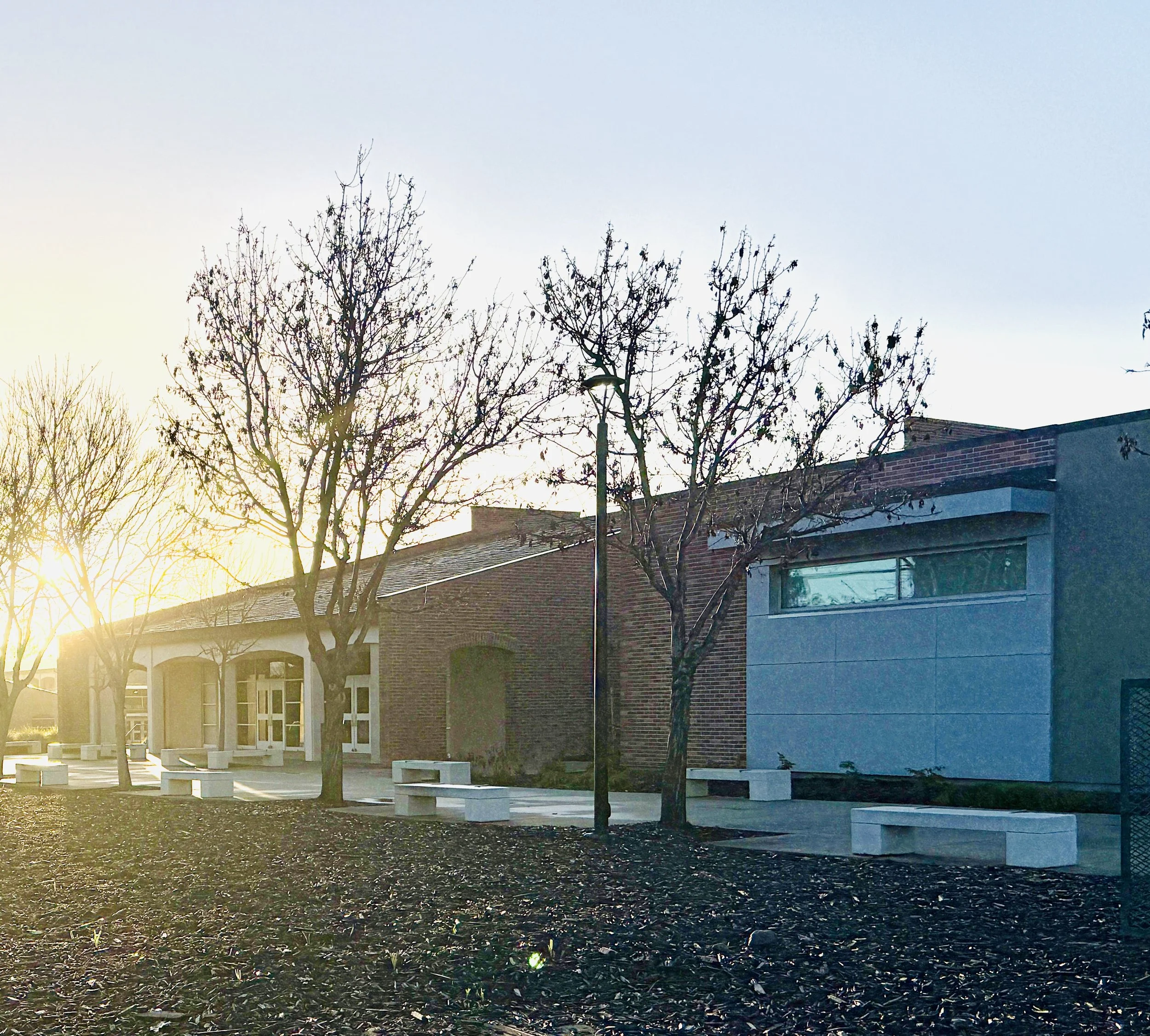 Modern building with large windows, leafless trees, benches in foreground, and sunlight in the background.