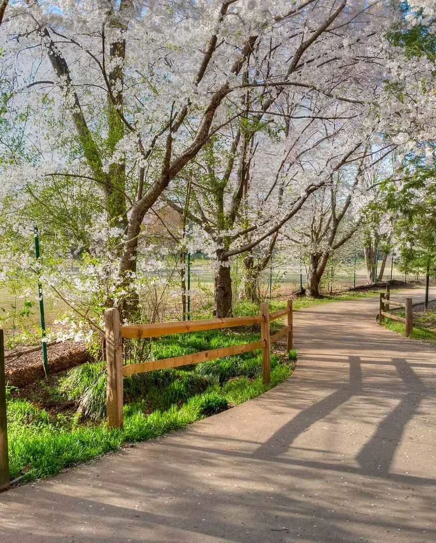 Chastain Park Conservancy Announces First Annual Home &amp; Garden Tour for 2026