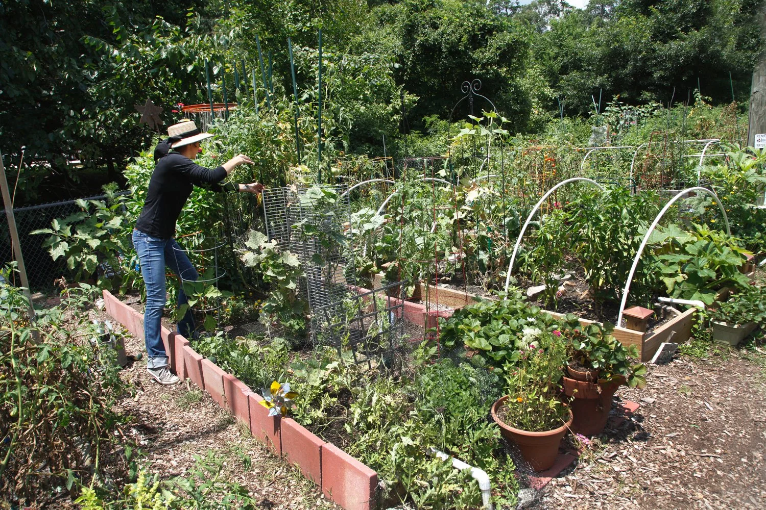 Master Gardeners Lead Free Gardening Classes for Residents Through Chastain Park Conservancy