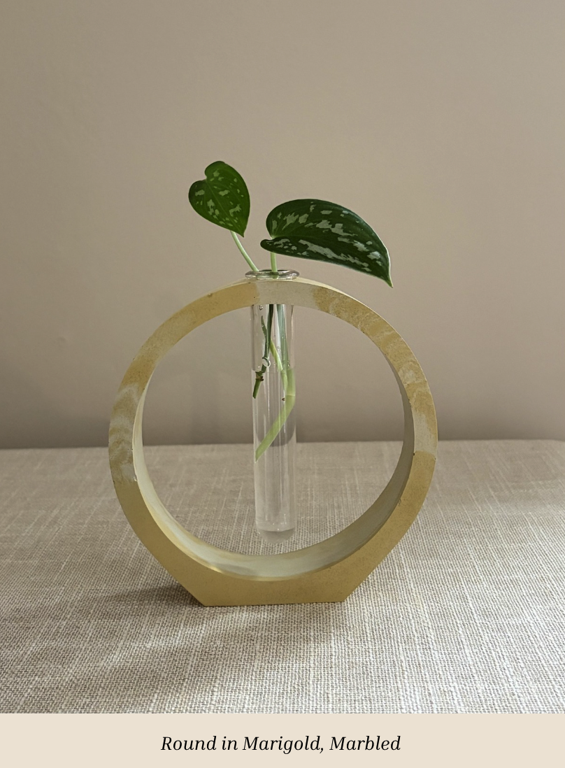 Round Marigold Marbled Plant 2.png