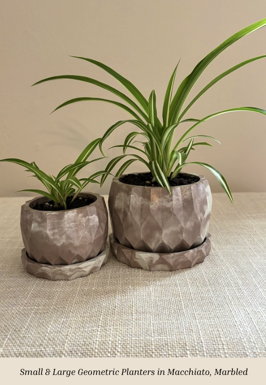 Small Large Geometric Macchiato Marbled Plants.png