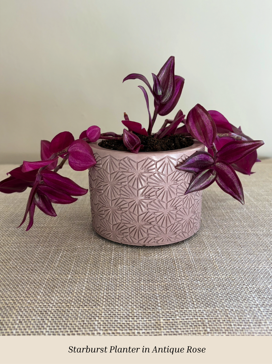 Starburst Planter in Antique Rose Text.png