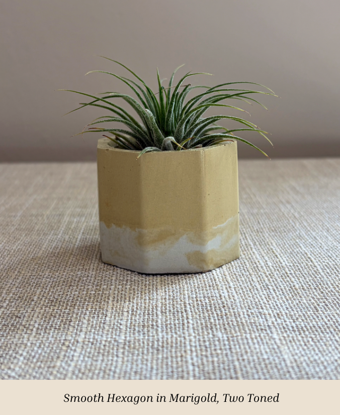 Smooth Hex Marigold.png