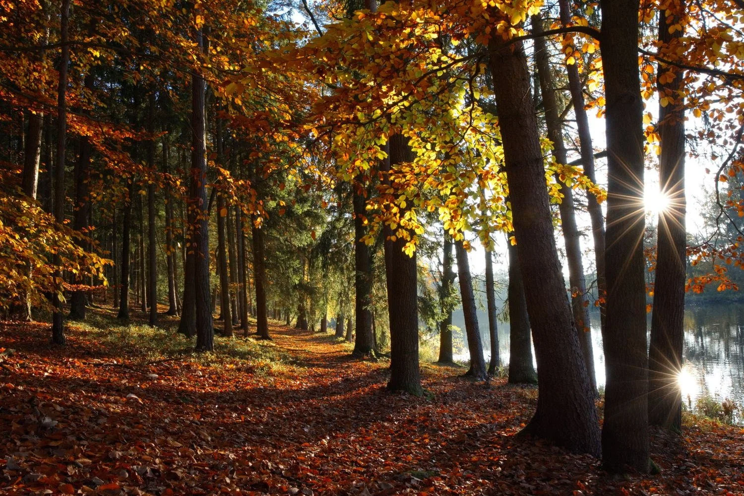 Nourishing Autumn: Small Habits for the Season of Cold &amp; Wind