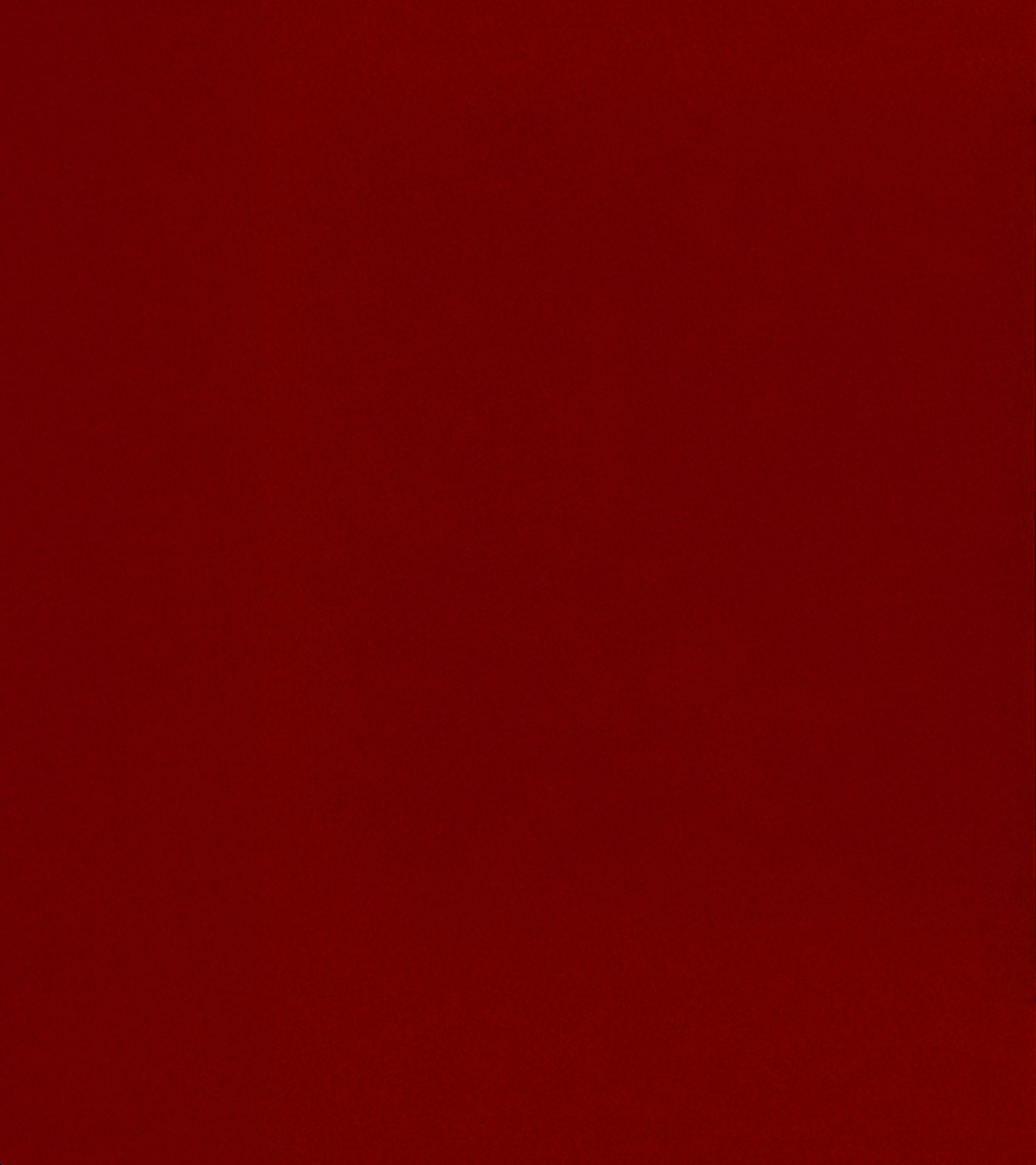 VOTE RED.png