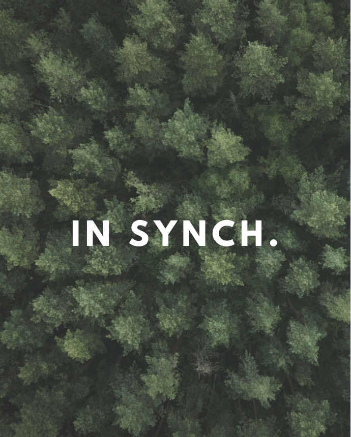 In Synch — Seasonal Guided Journaling Experience
