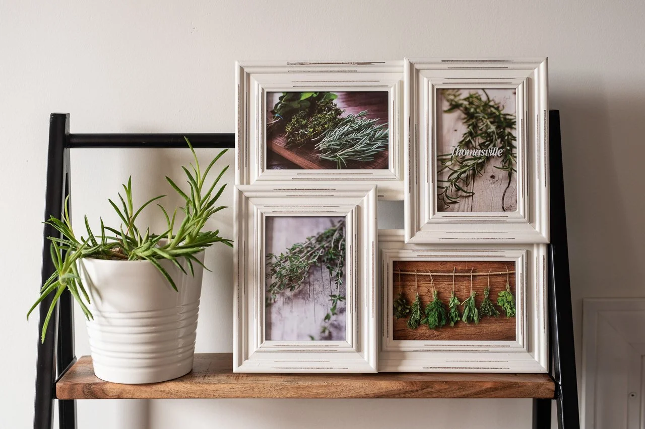 A white potted succulent plant and four white picture frames with pictures of herbs, arranged on a wooden shelf against a white wall.