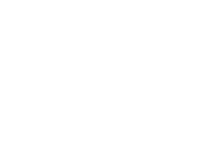 mccain.png