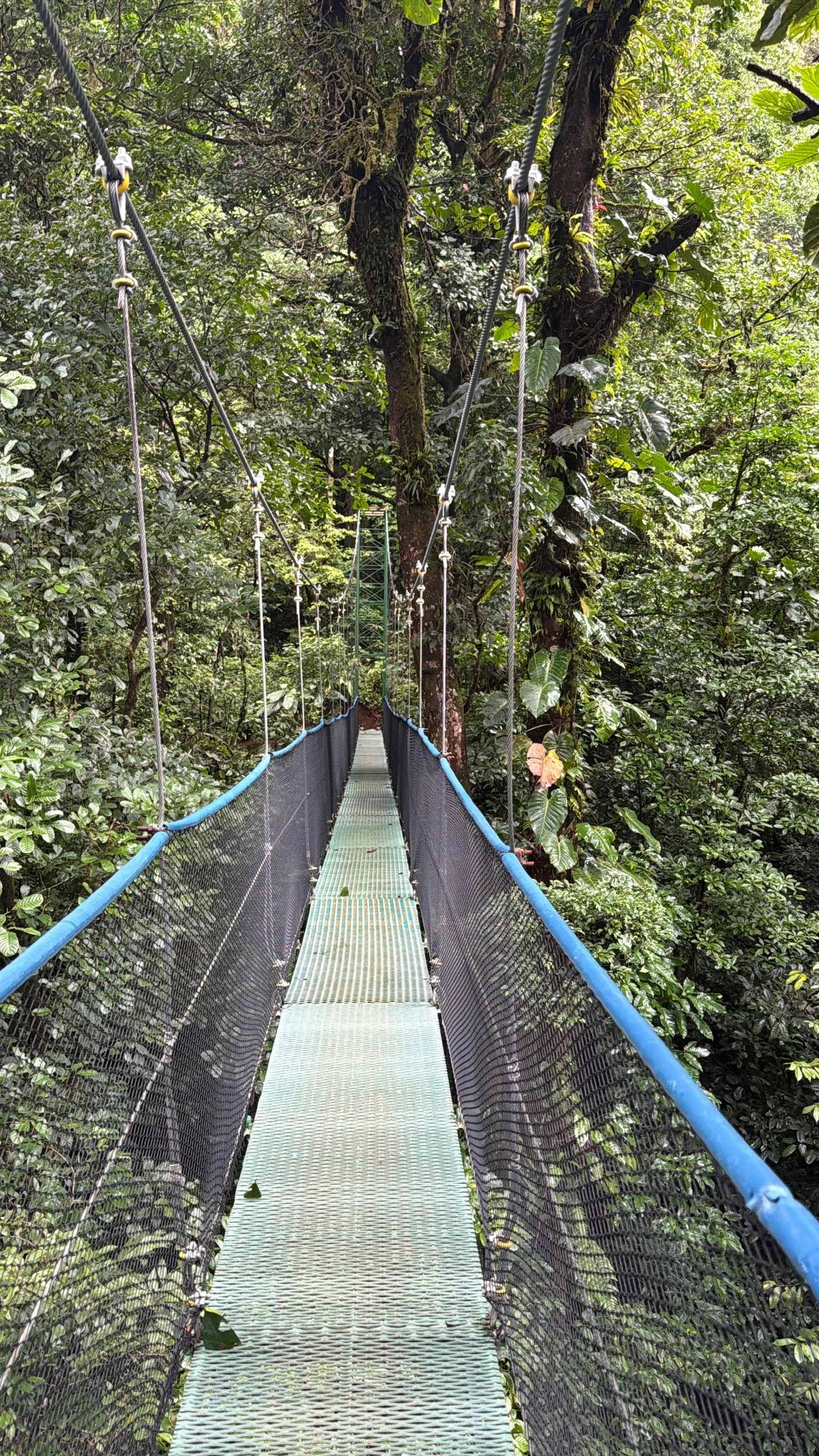 Costa Rica 2027-80.jpg