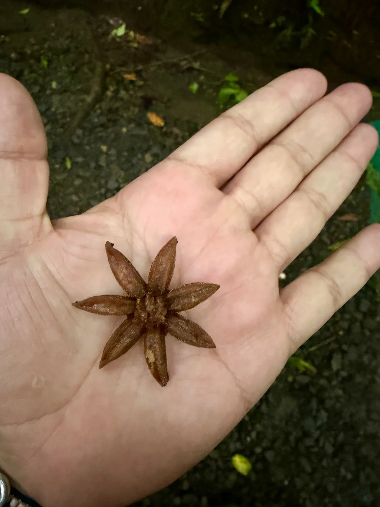 Costa Rica 2027-95.JPG