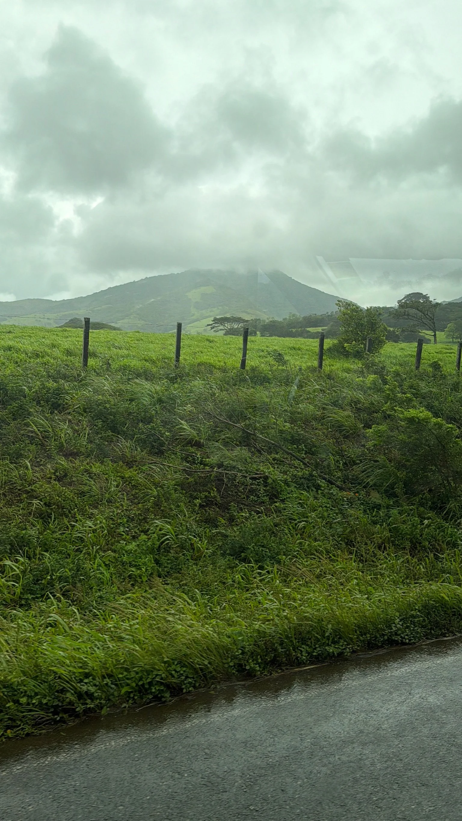 Costa Rica 2027-76.jpg