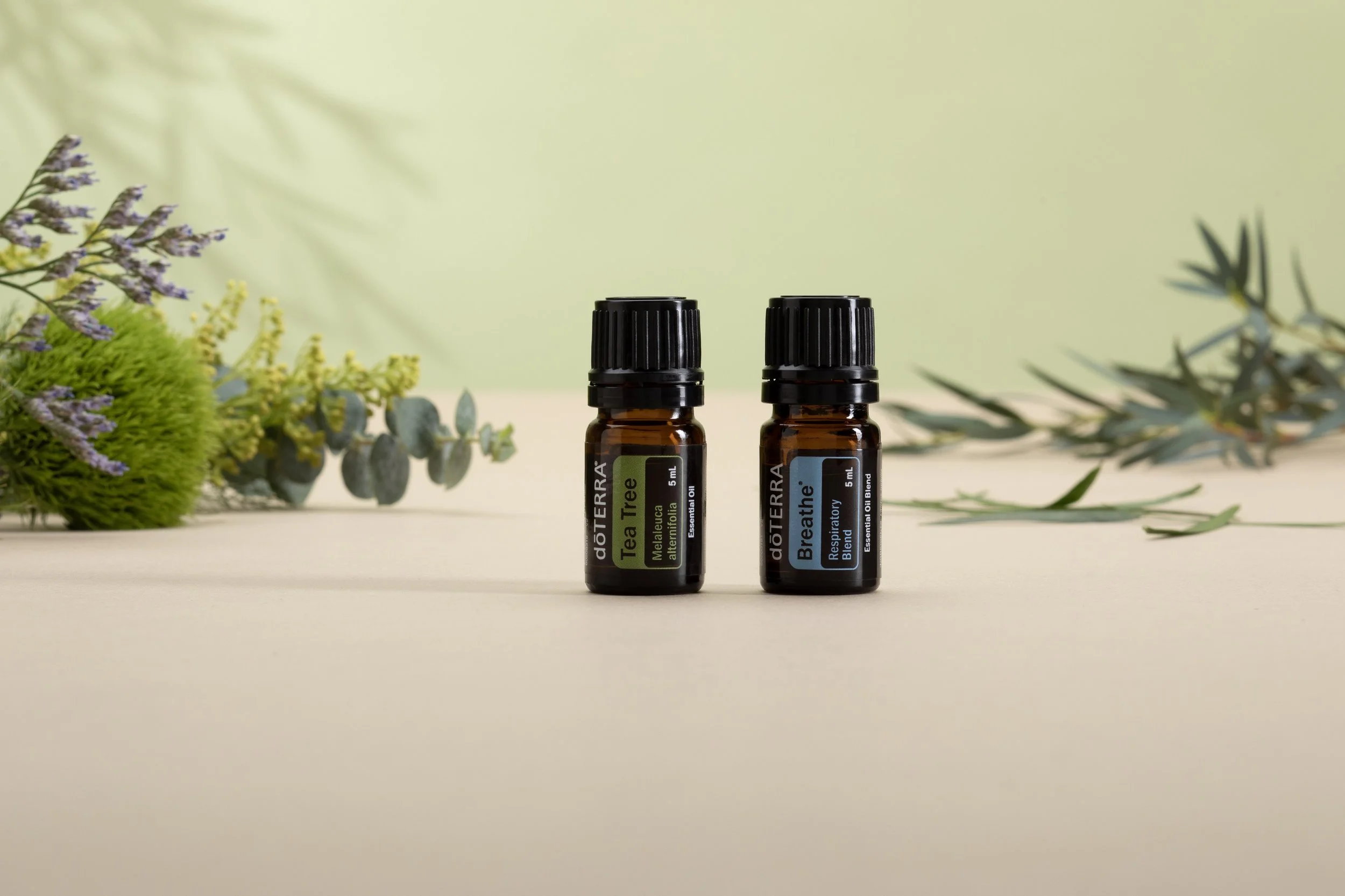 20250103_Doterra Essential Oils_179 copy.jpeg