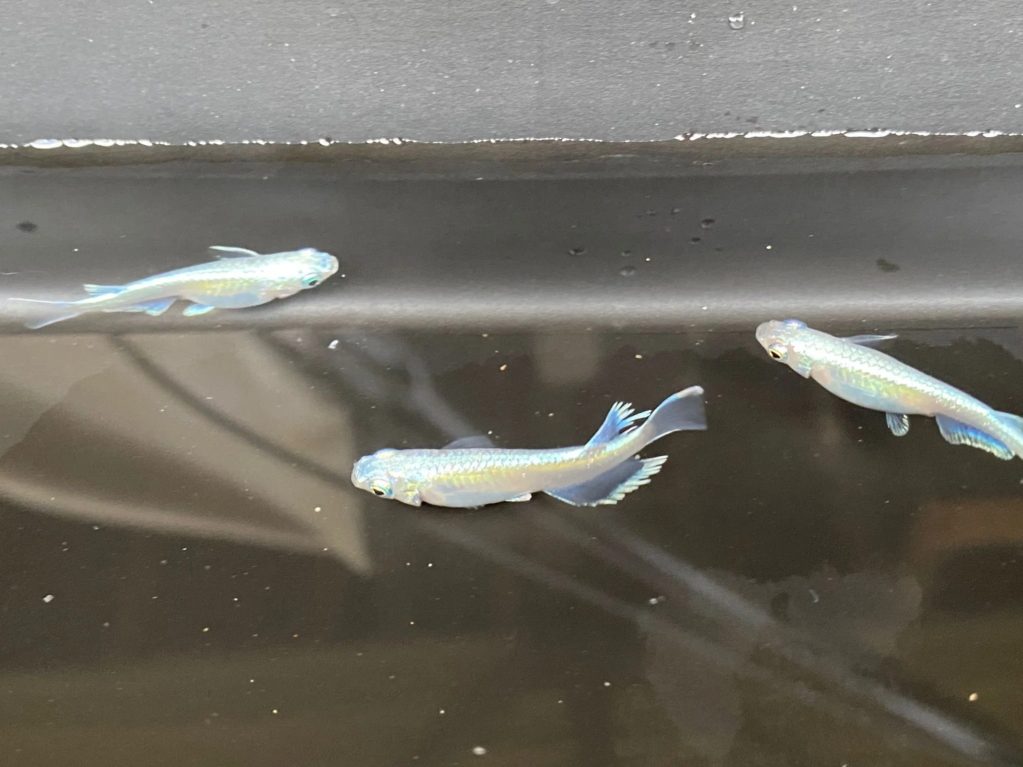 IMG-20220516-WA0034 (1).jpg