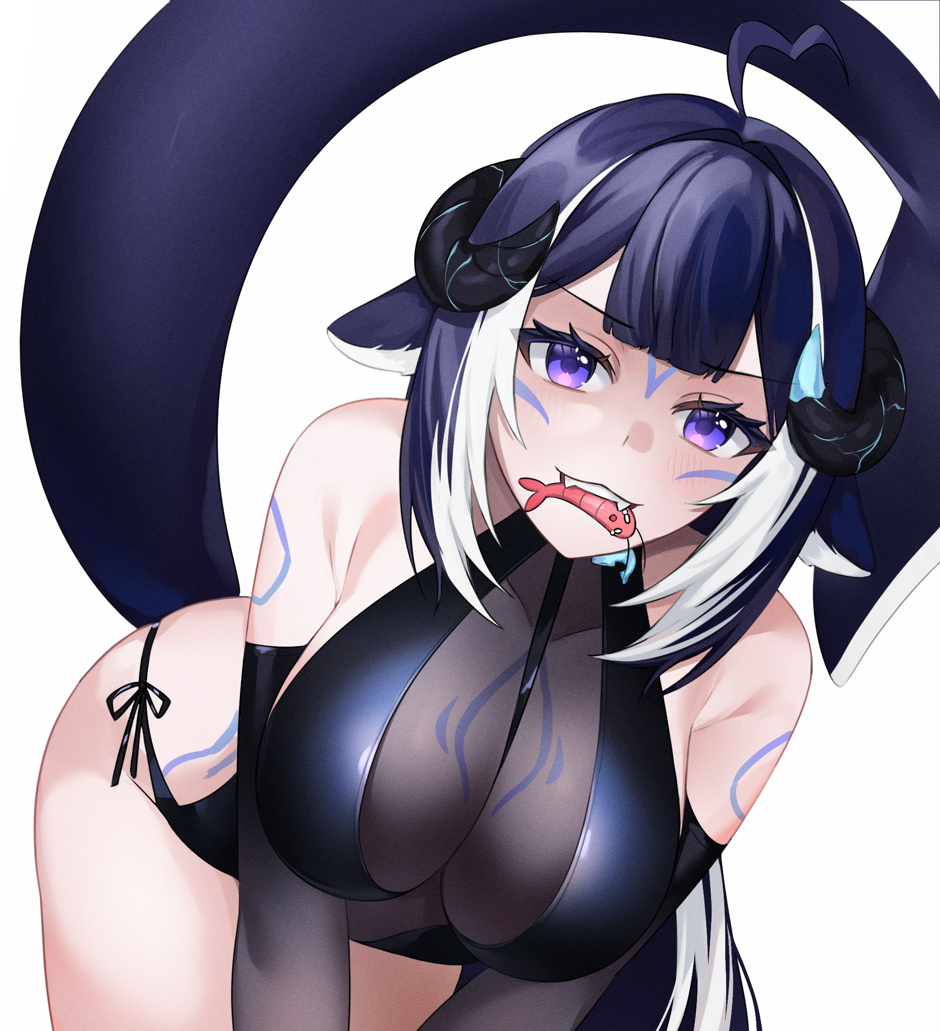 ShylilyIllustration.png
