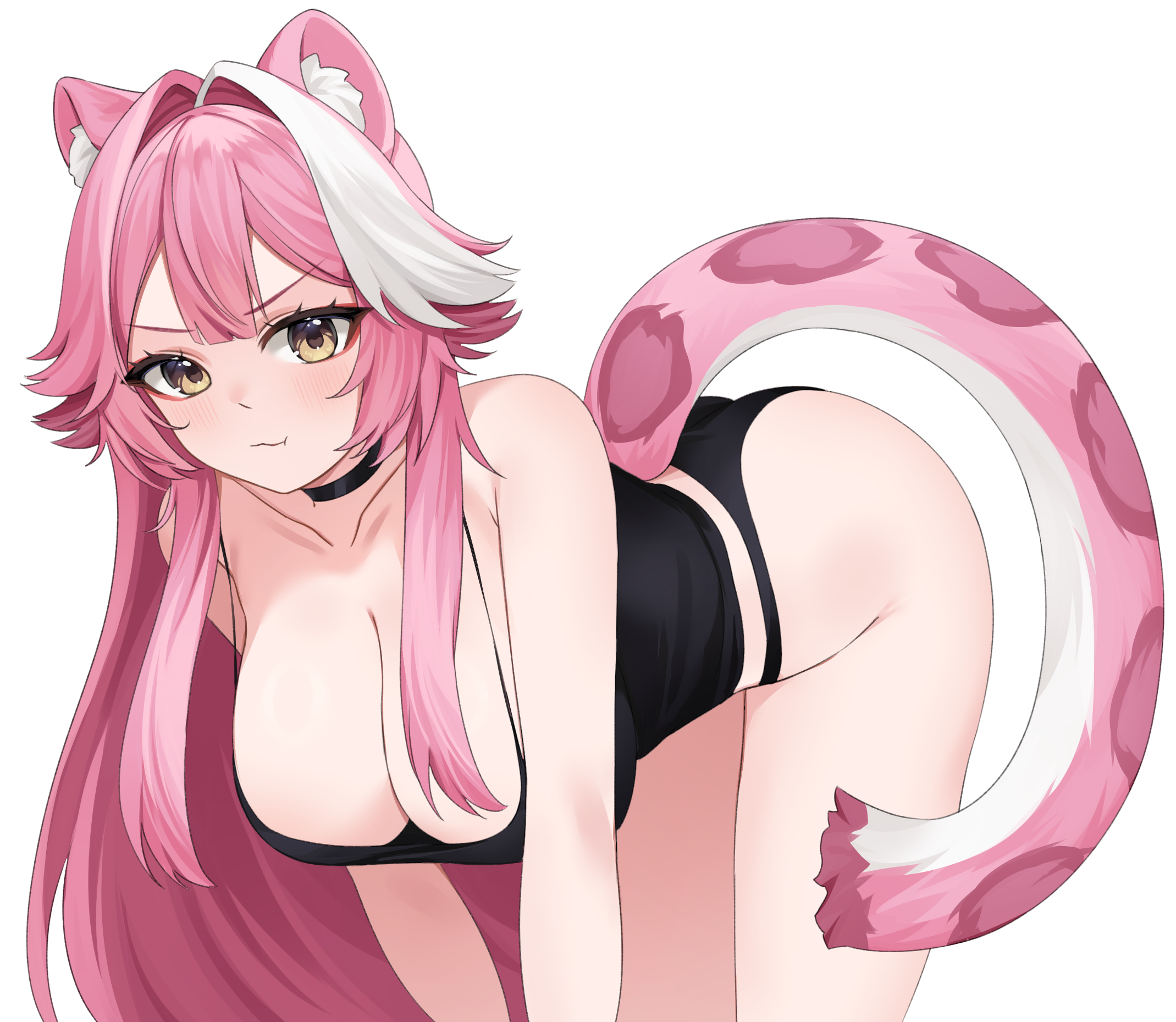 Raoraa.png