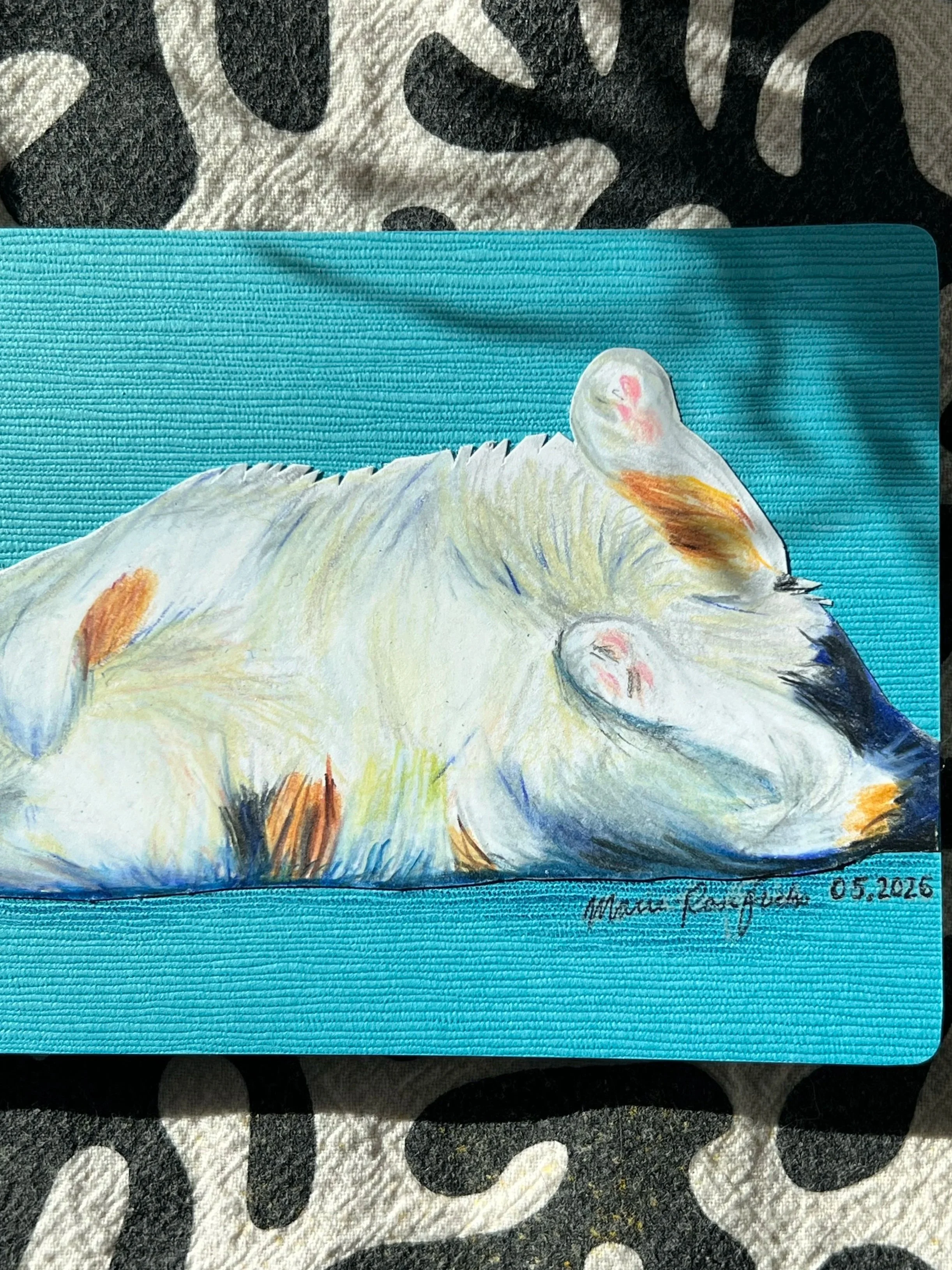 IMG_7628.jpg