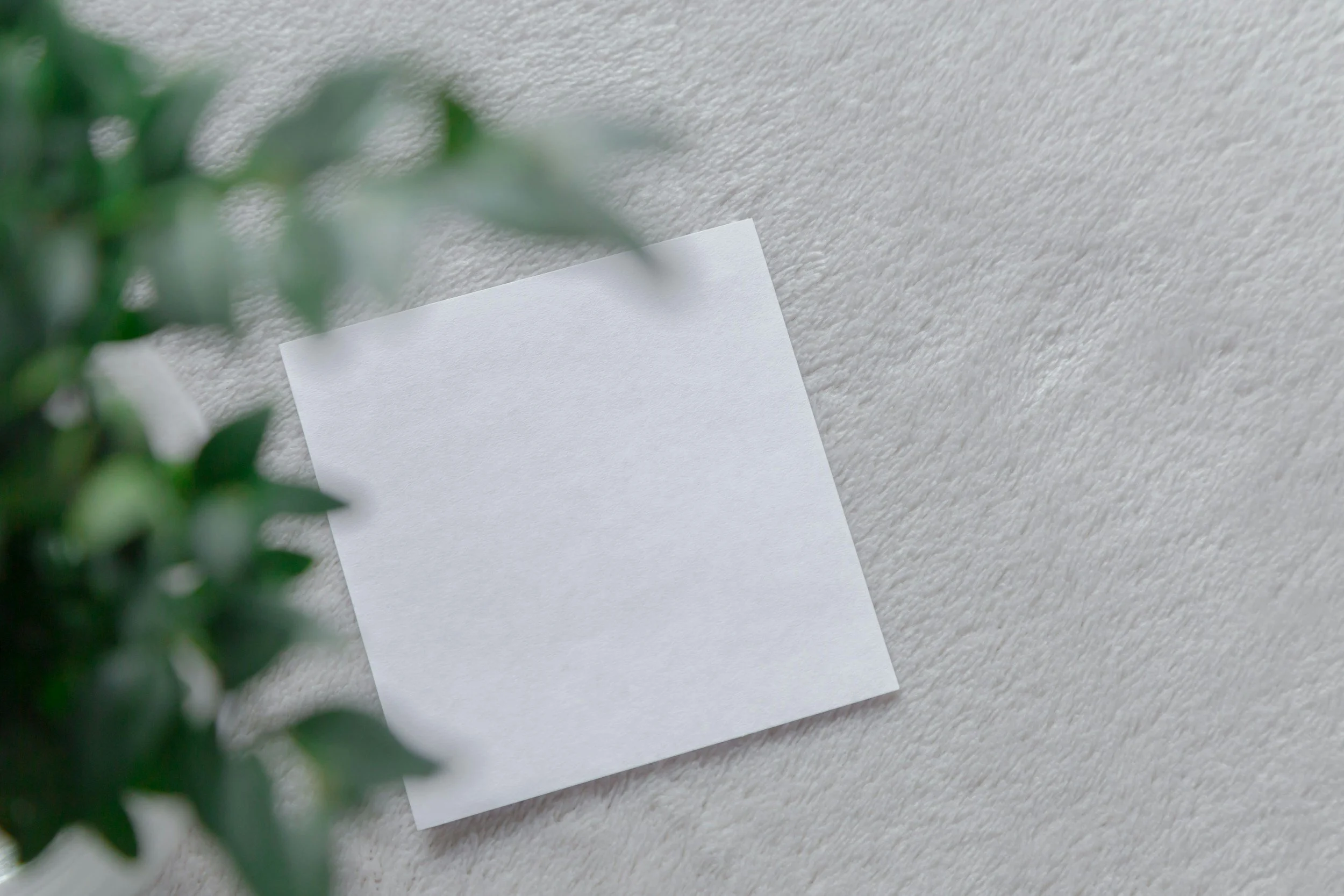 A blank white sticky note on a light-colored surface with a blurred green plant in the foreground.